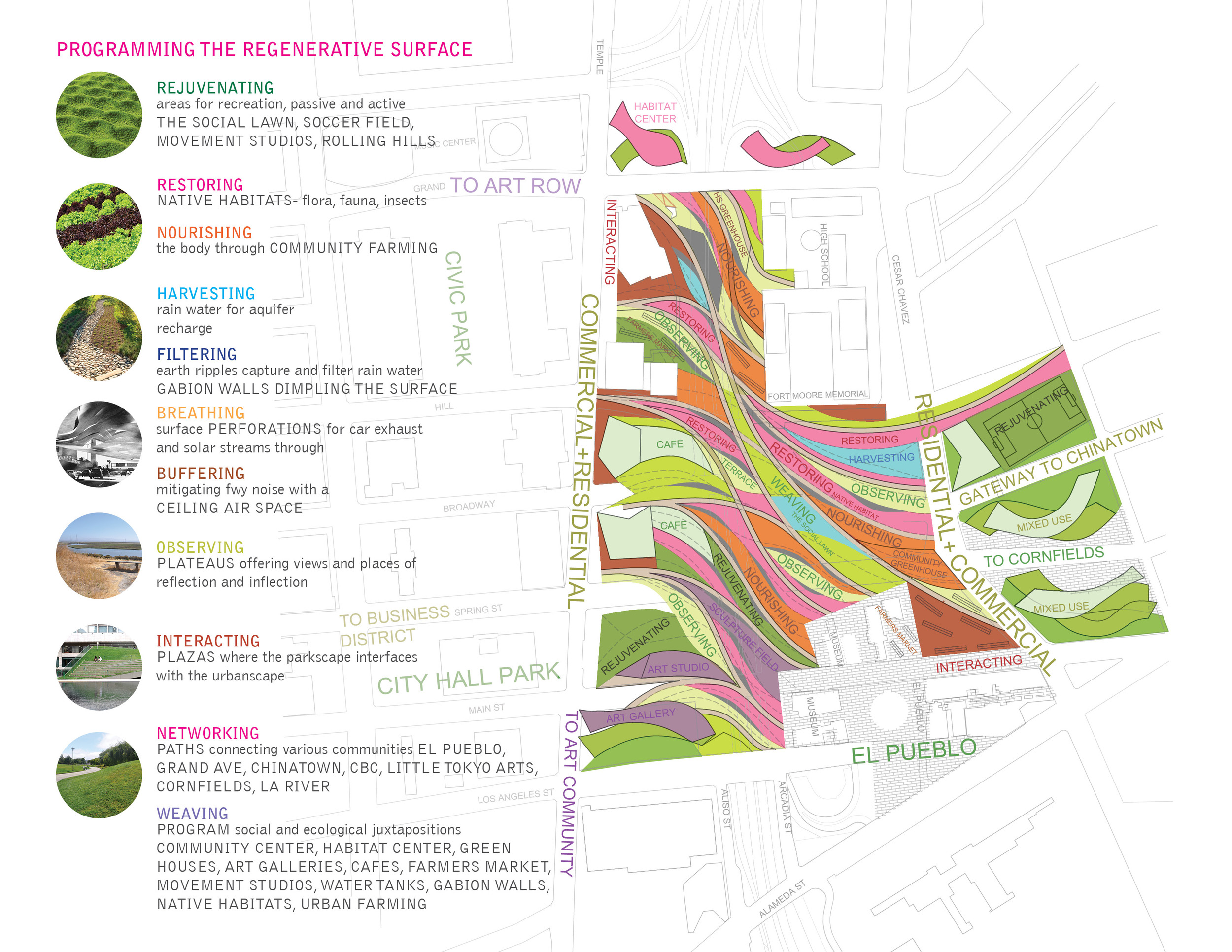 TINA CHEE landscape studio_REGENSRF_program_06.jpg
