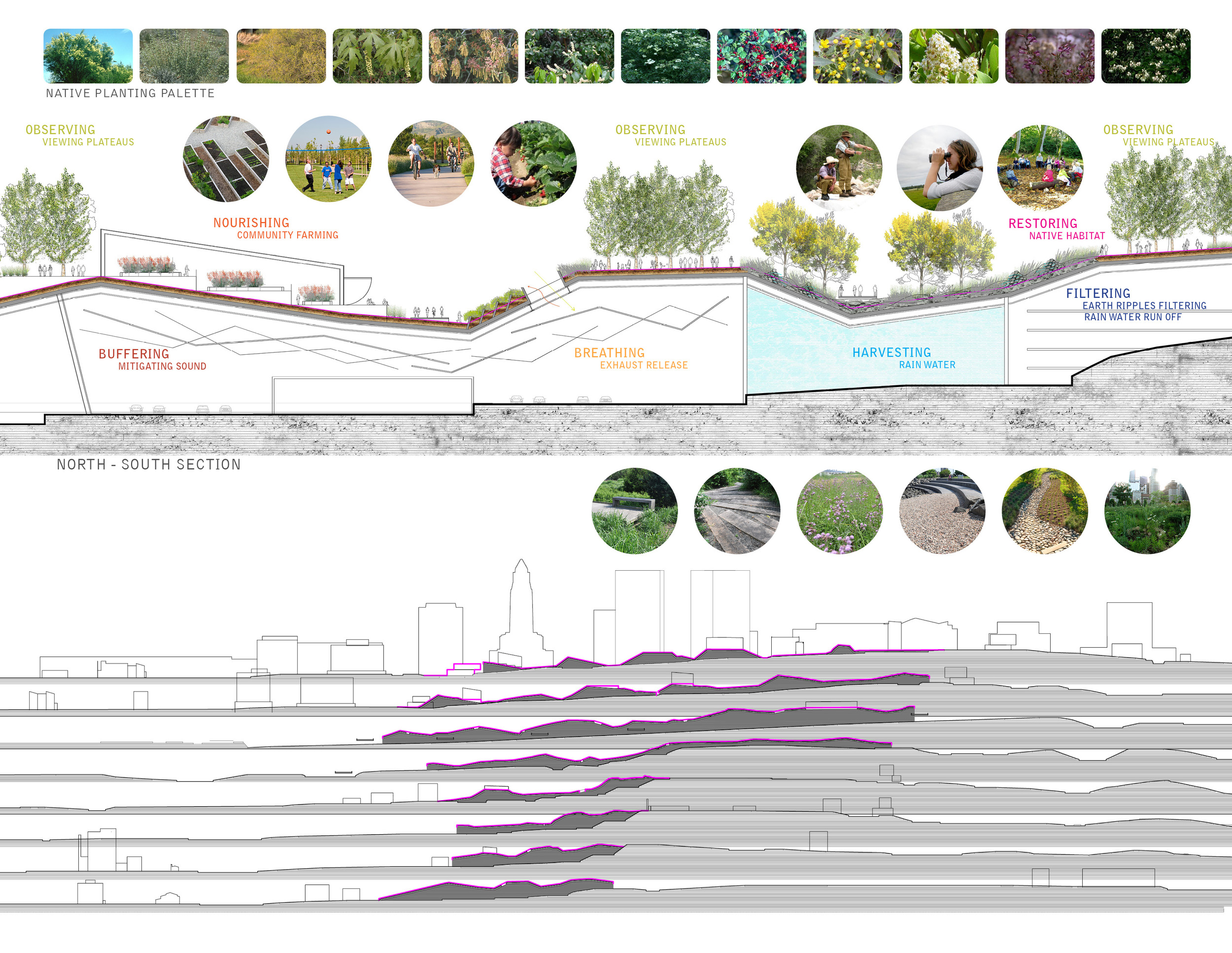 TINA CHEE landscape studio_REGENSRF_section_07.jpg
