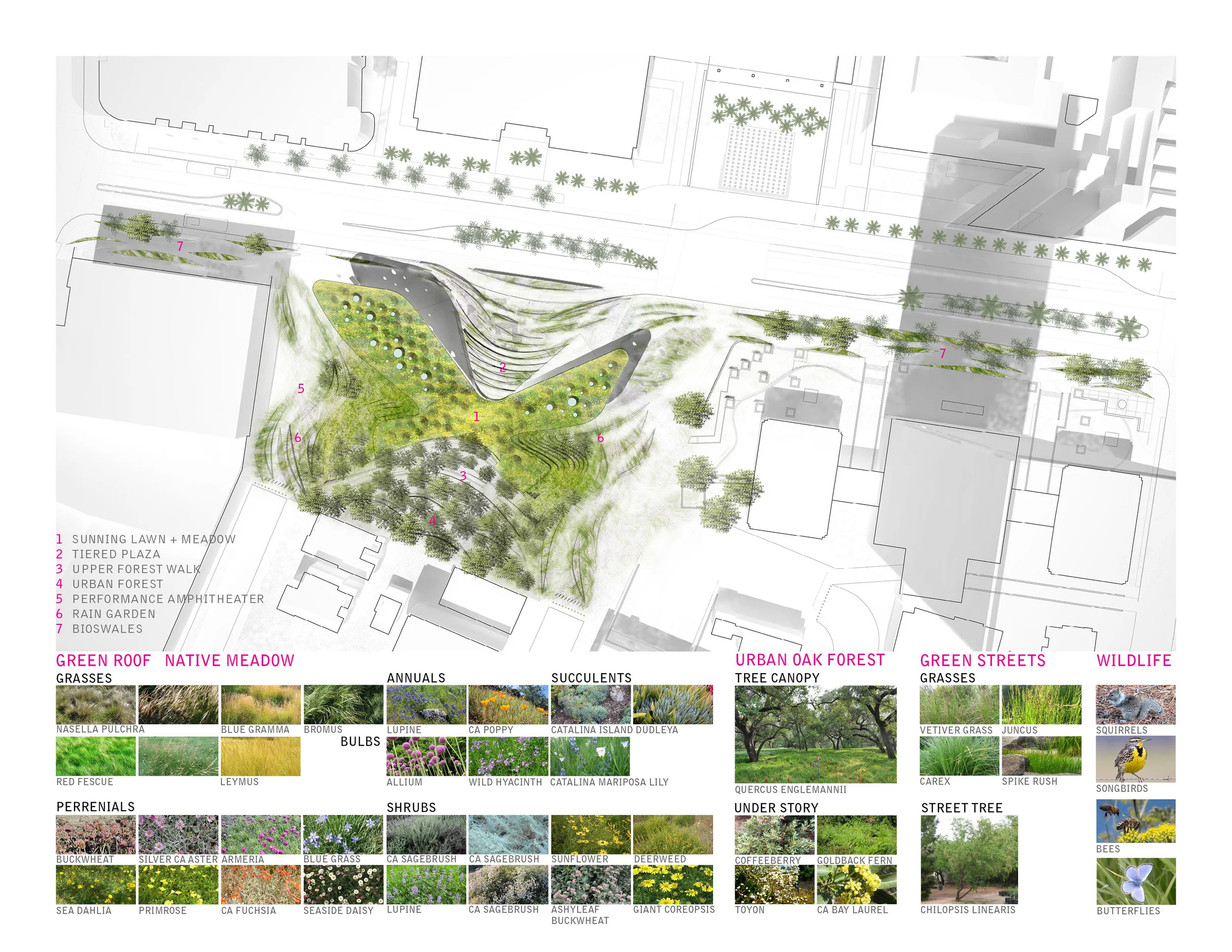 TINA CHEE_landscape studio_BIR 7 roofplan.jpg