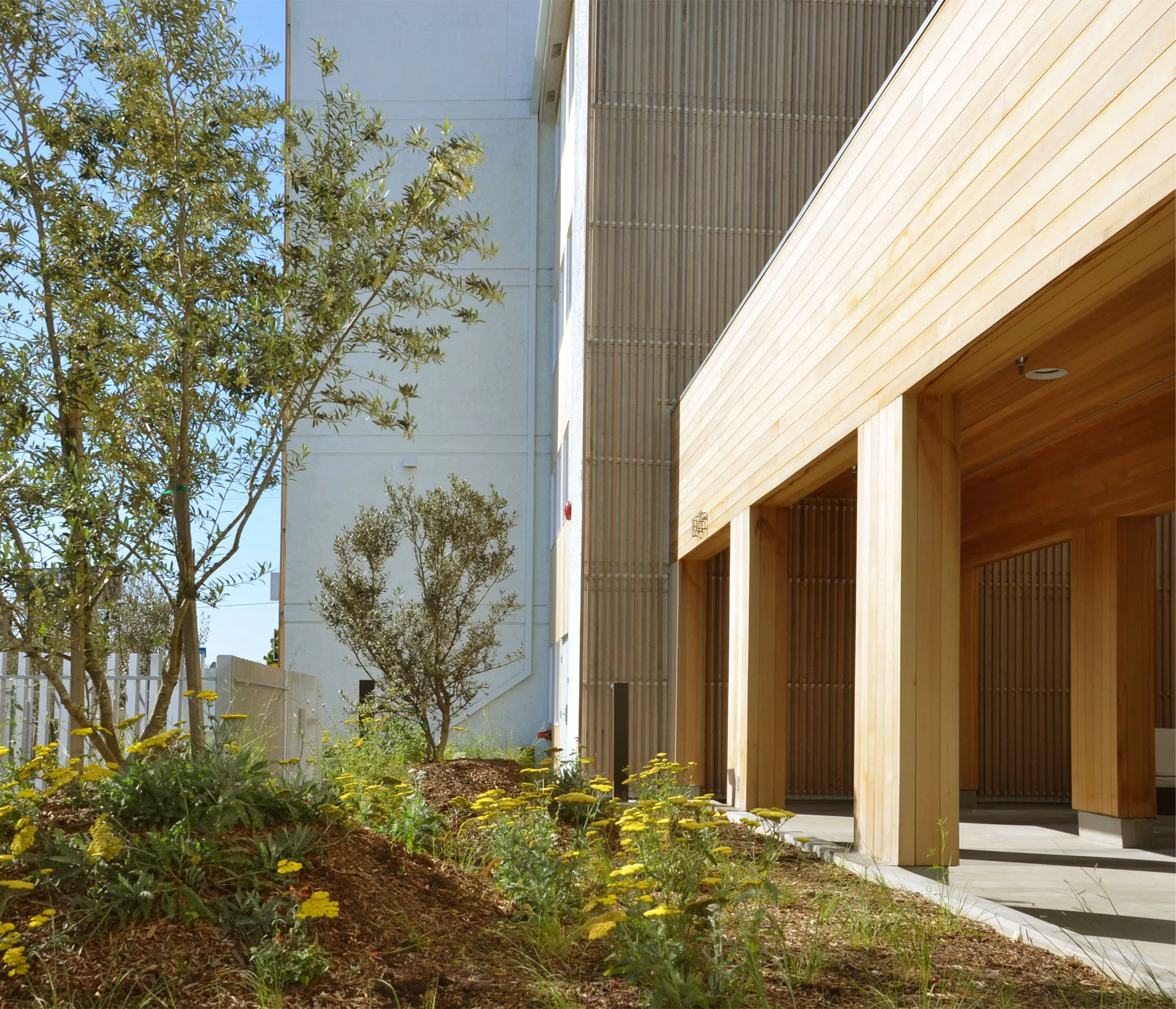 TINA CHEE landscape studio-BP_1_.jpg