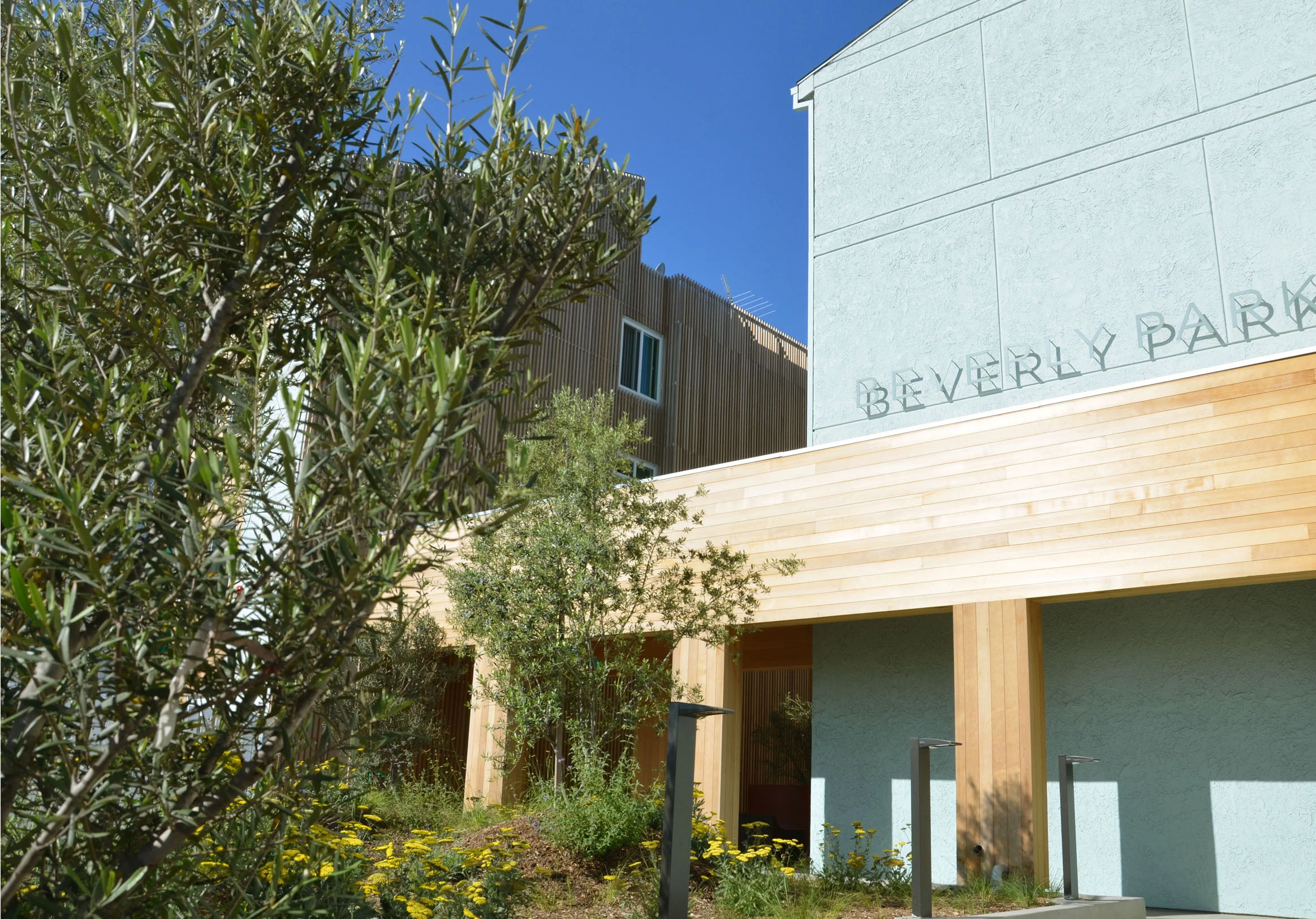 TINA CHEE landscape studio_BeverlyPark_3_.jpg