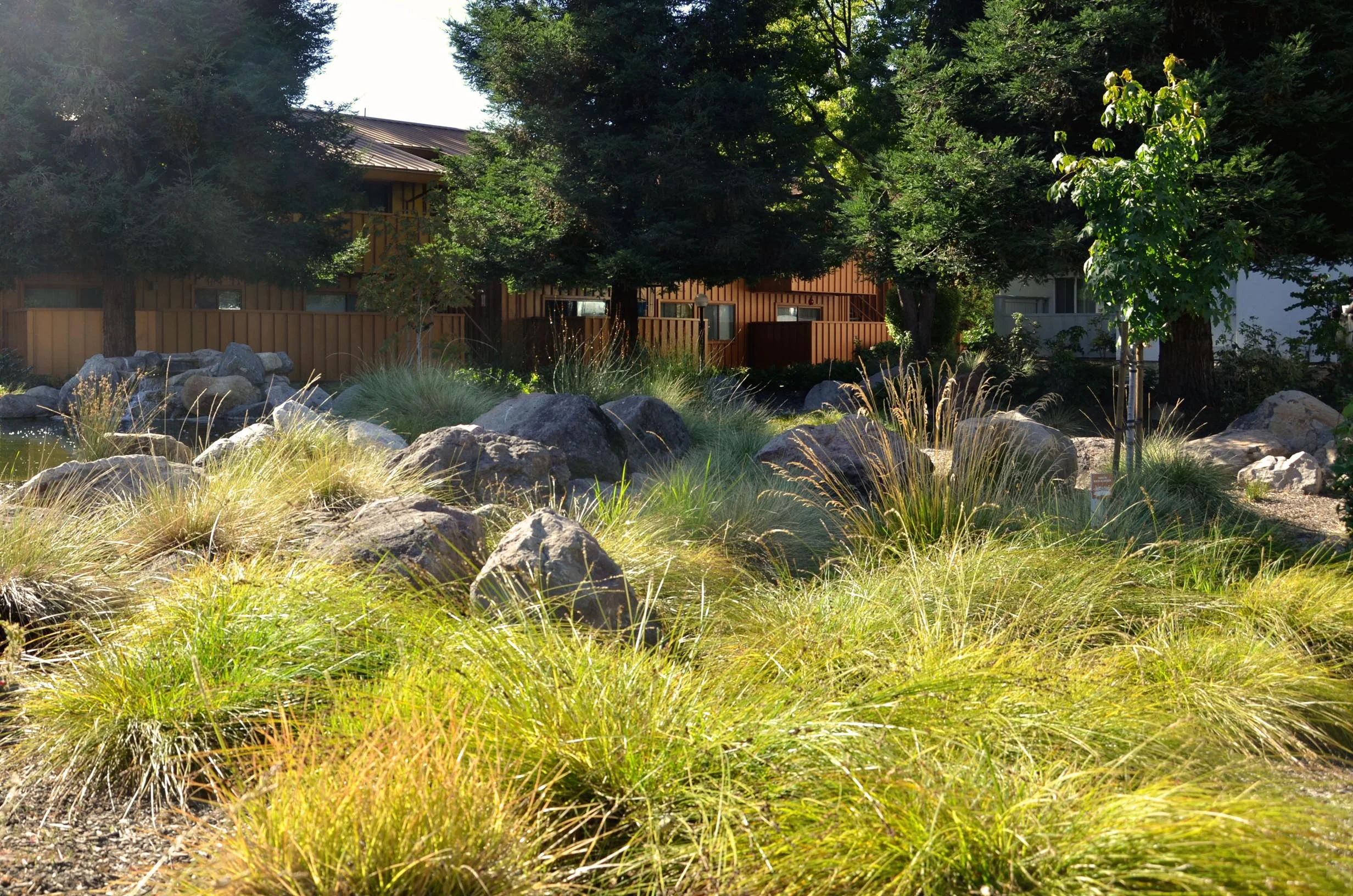TINA CHEE landscape studio_LAKESIDE-meadow.jpg