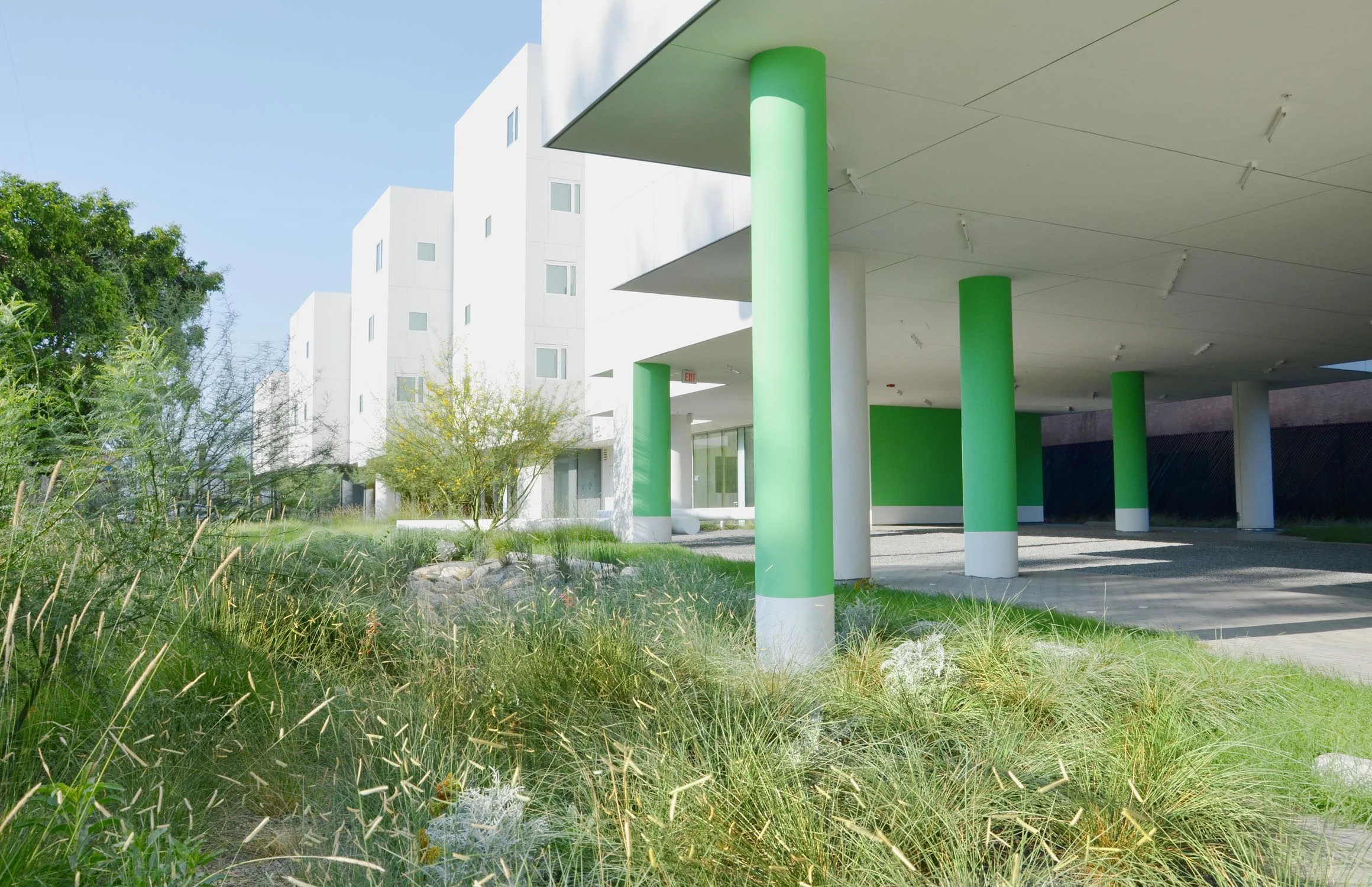 TINA CHEE landscape studio_Crest Apartments_08.jpg
