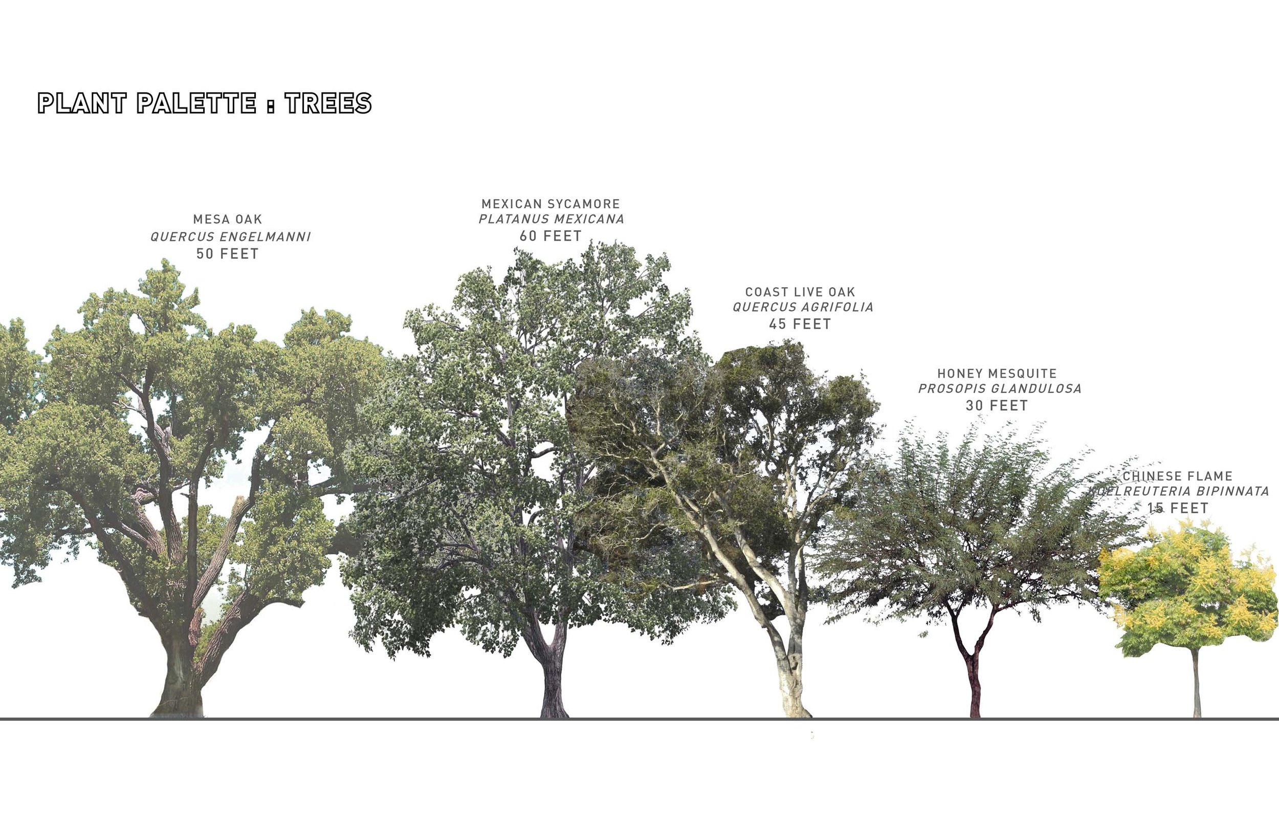 TINA CHEE landscape studio_FTP26.jpg