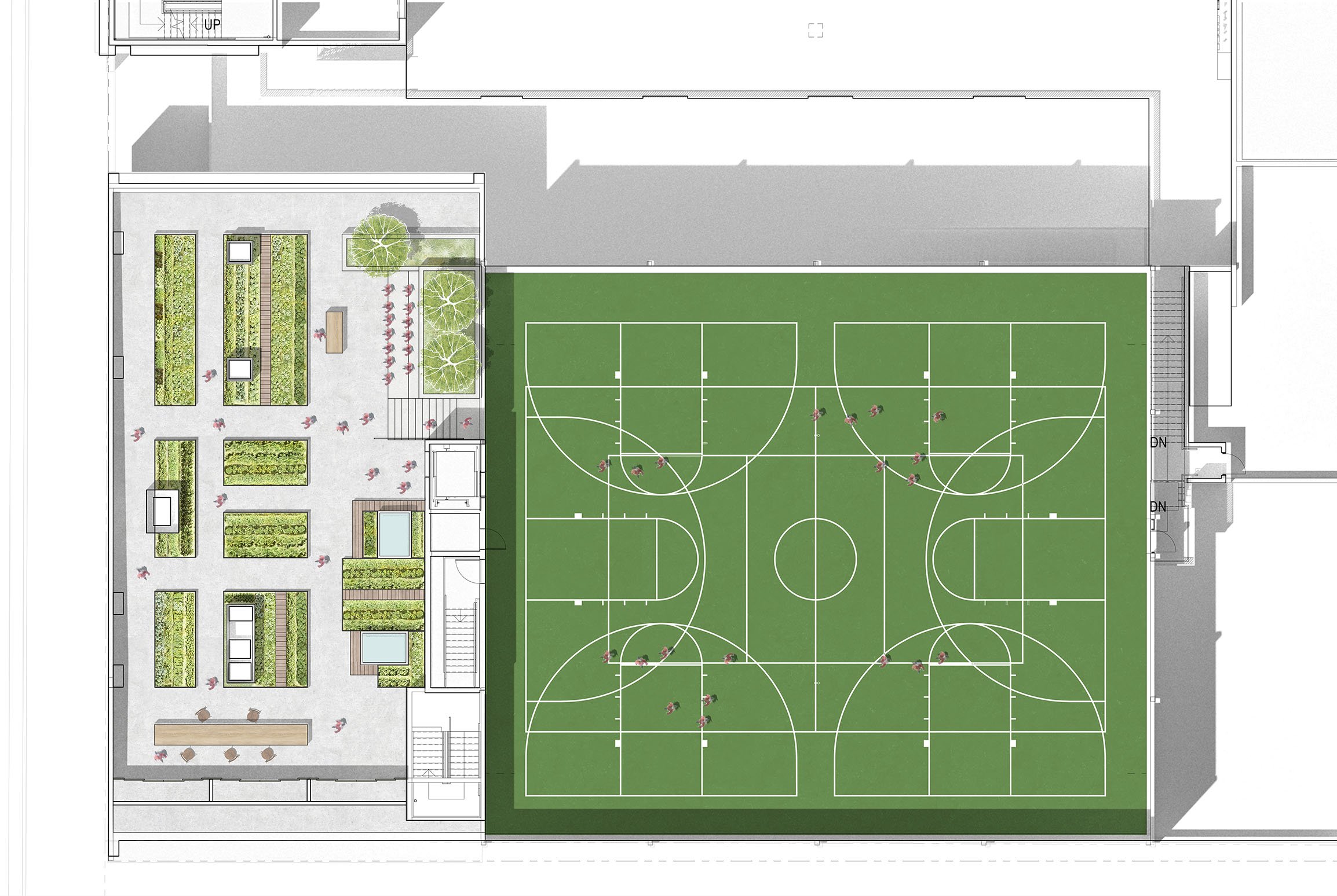 SEED LA-edible garden sports court plan-Tina Chee Landscape Studio.jpg