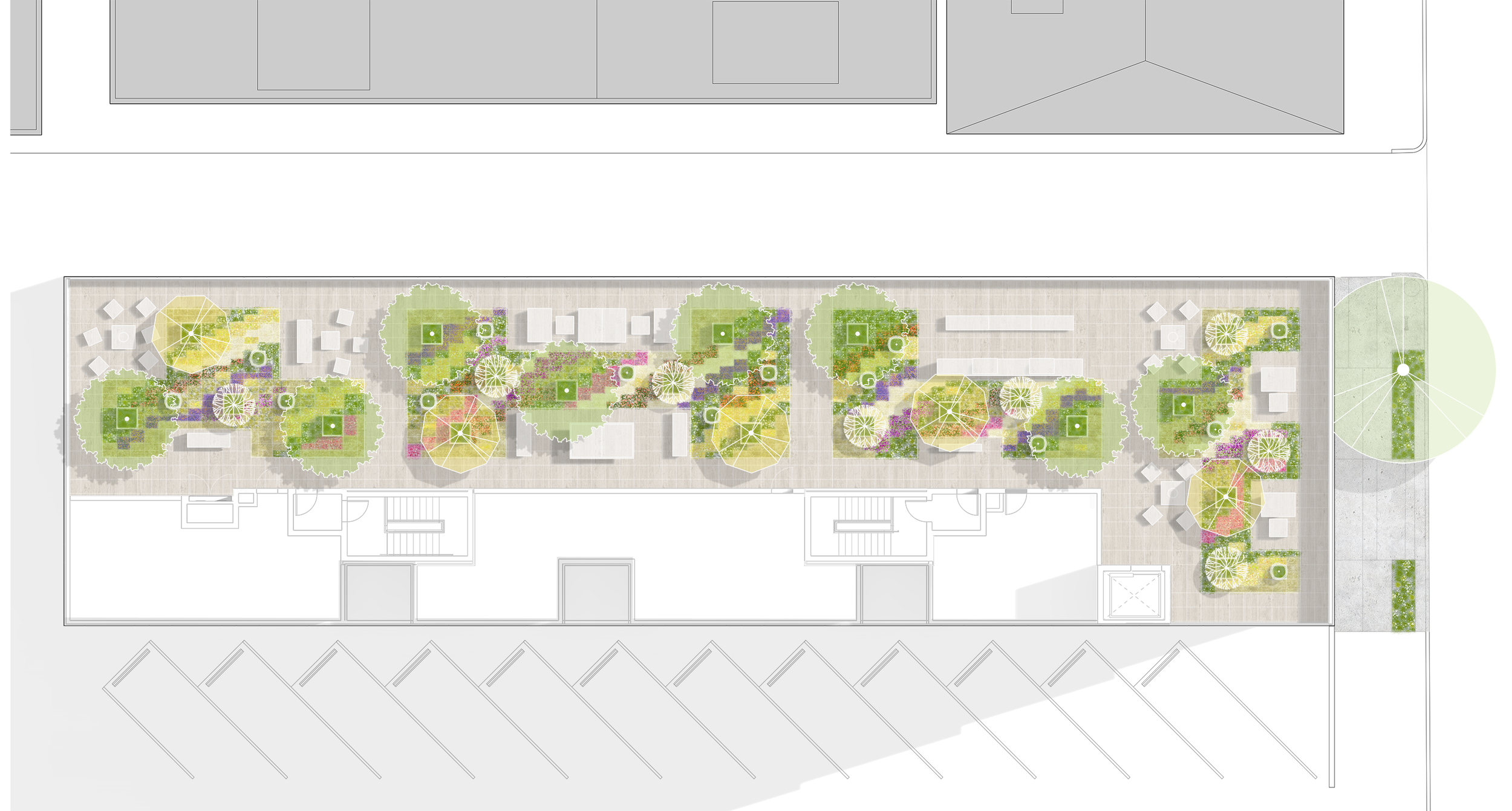 1317 South Grand-planting plan_TINA CHEE LANDSCAPE STUDIO.png