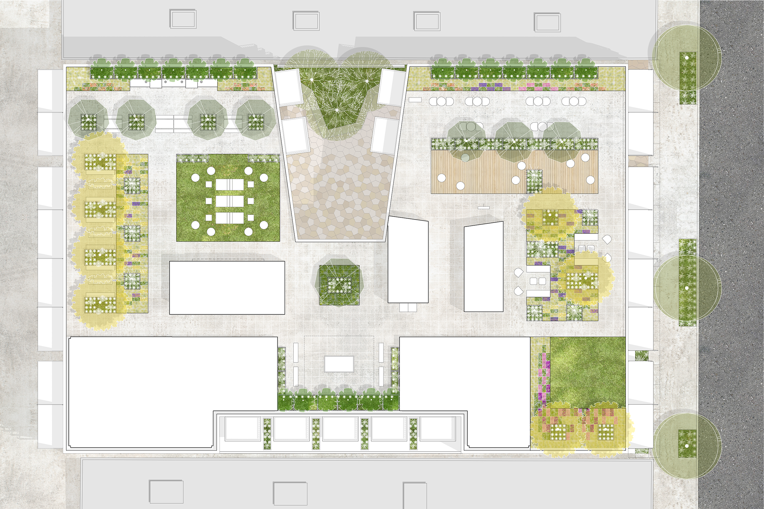 1411 Flower Street-landscape roof plan_TINA CHEE LANDSCAPE STUDIO.png