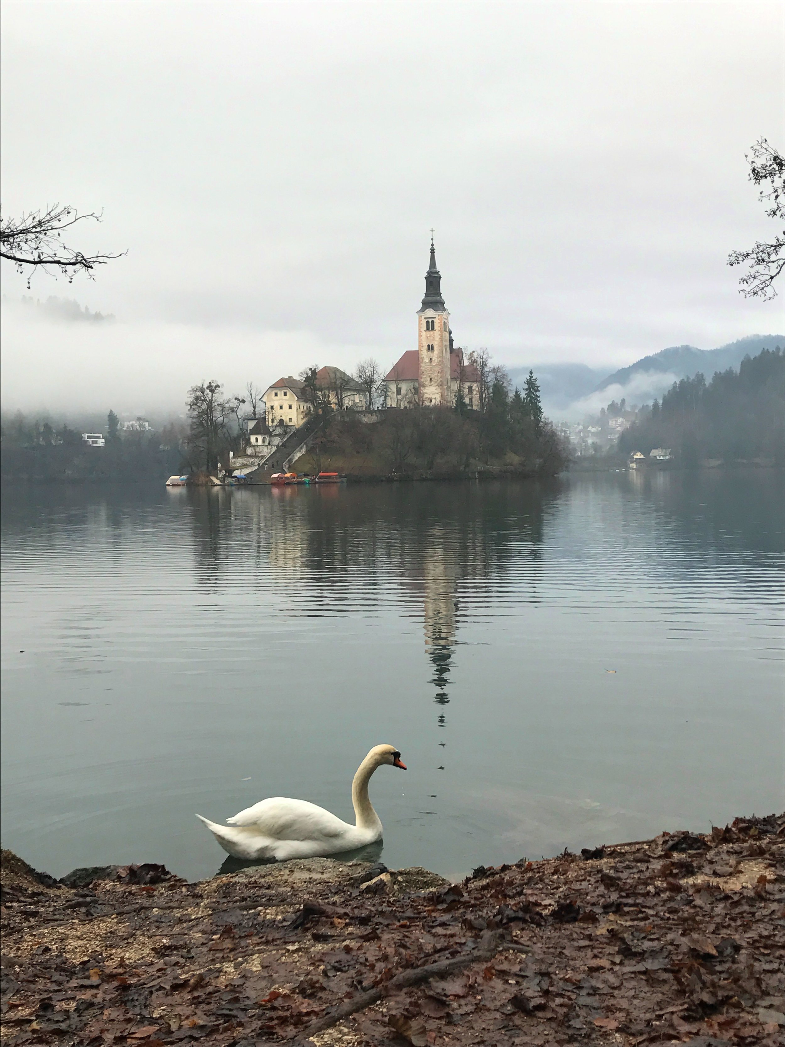 The Church on the Island in Lake Bled