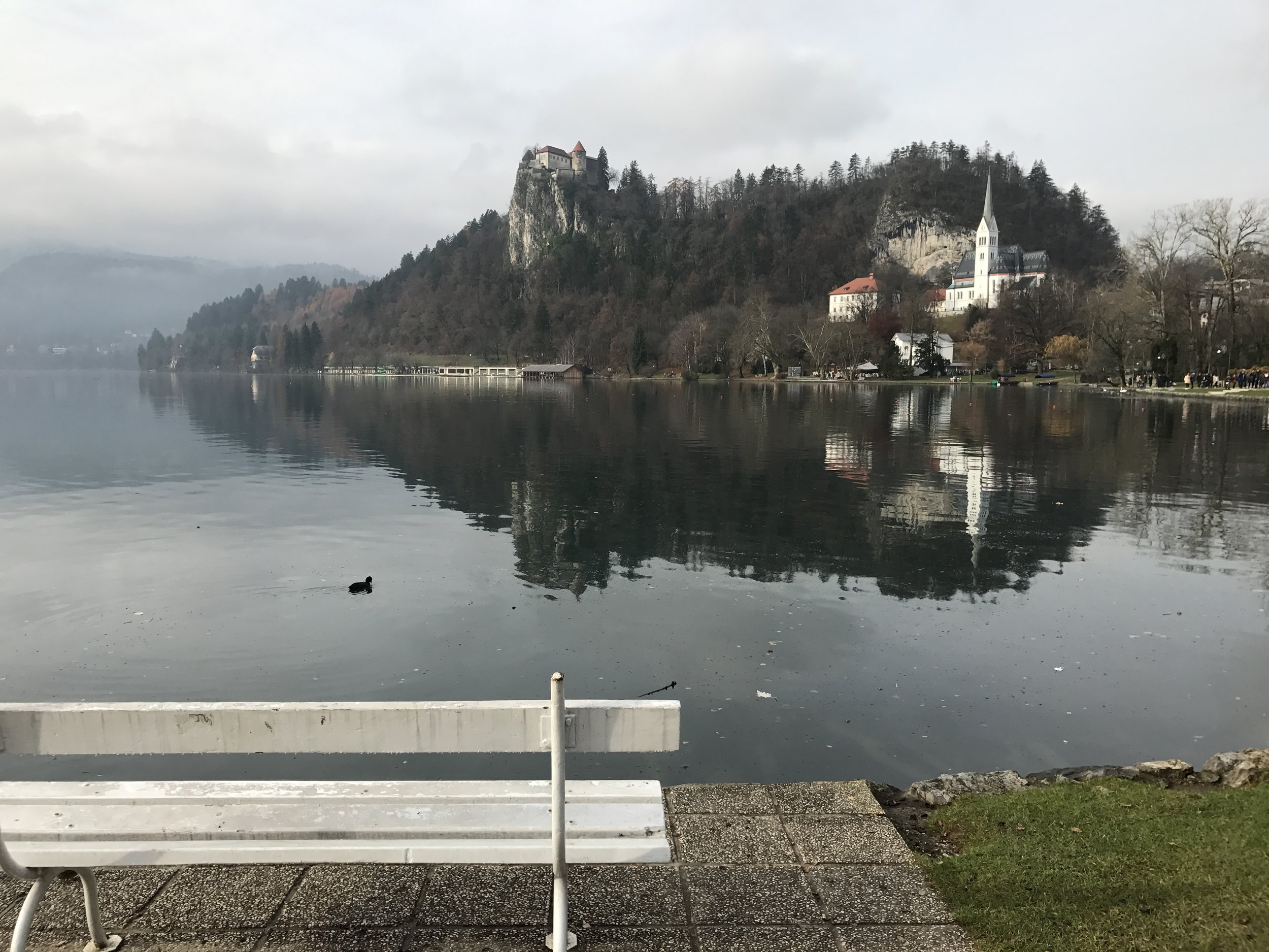 Lake Bled and the castle in the distance