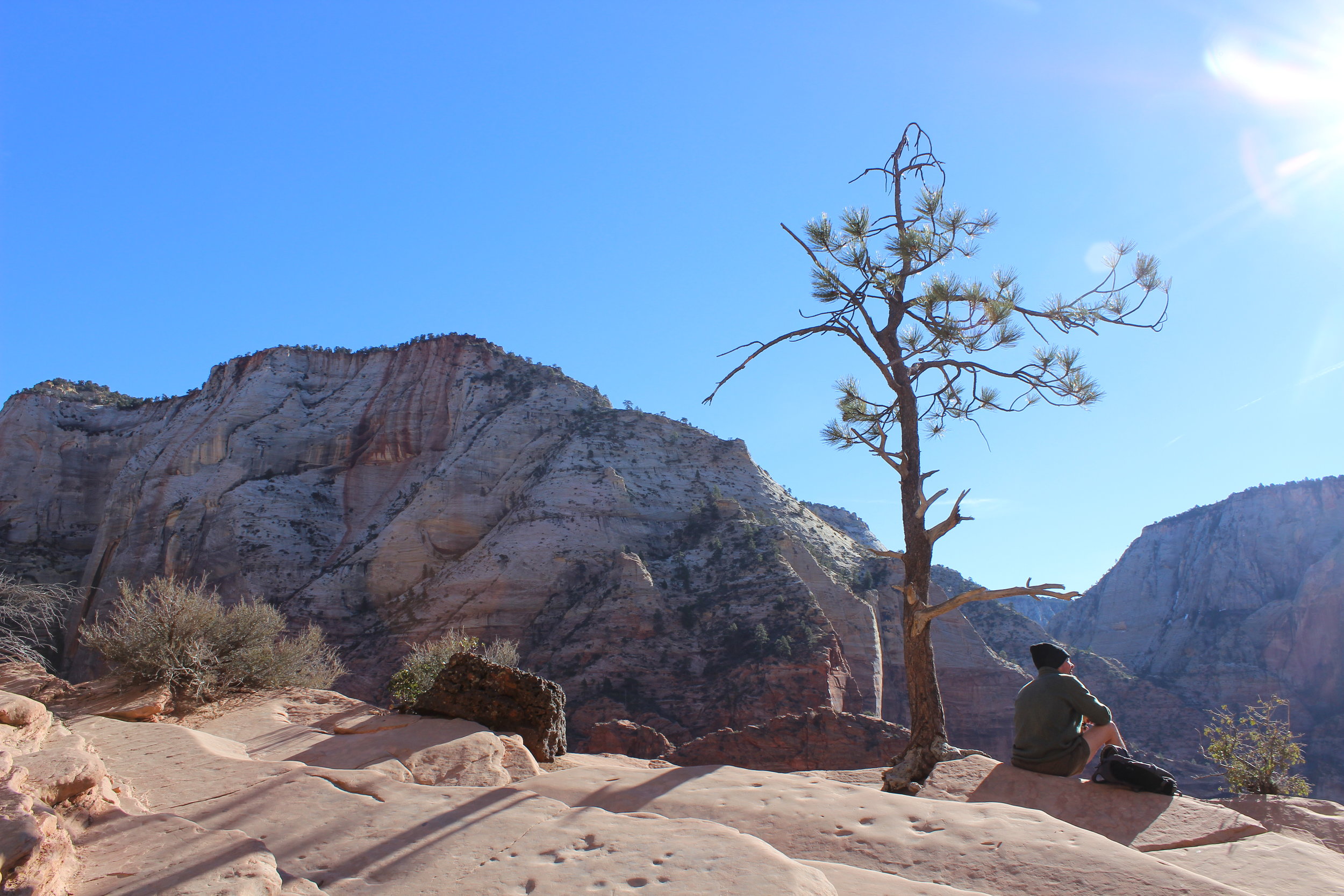 Park Ranger relaxes as he takes in the views of Zion National Park