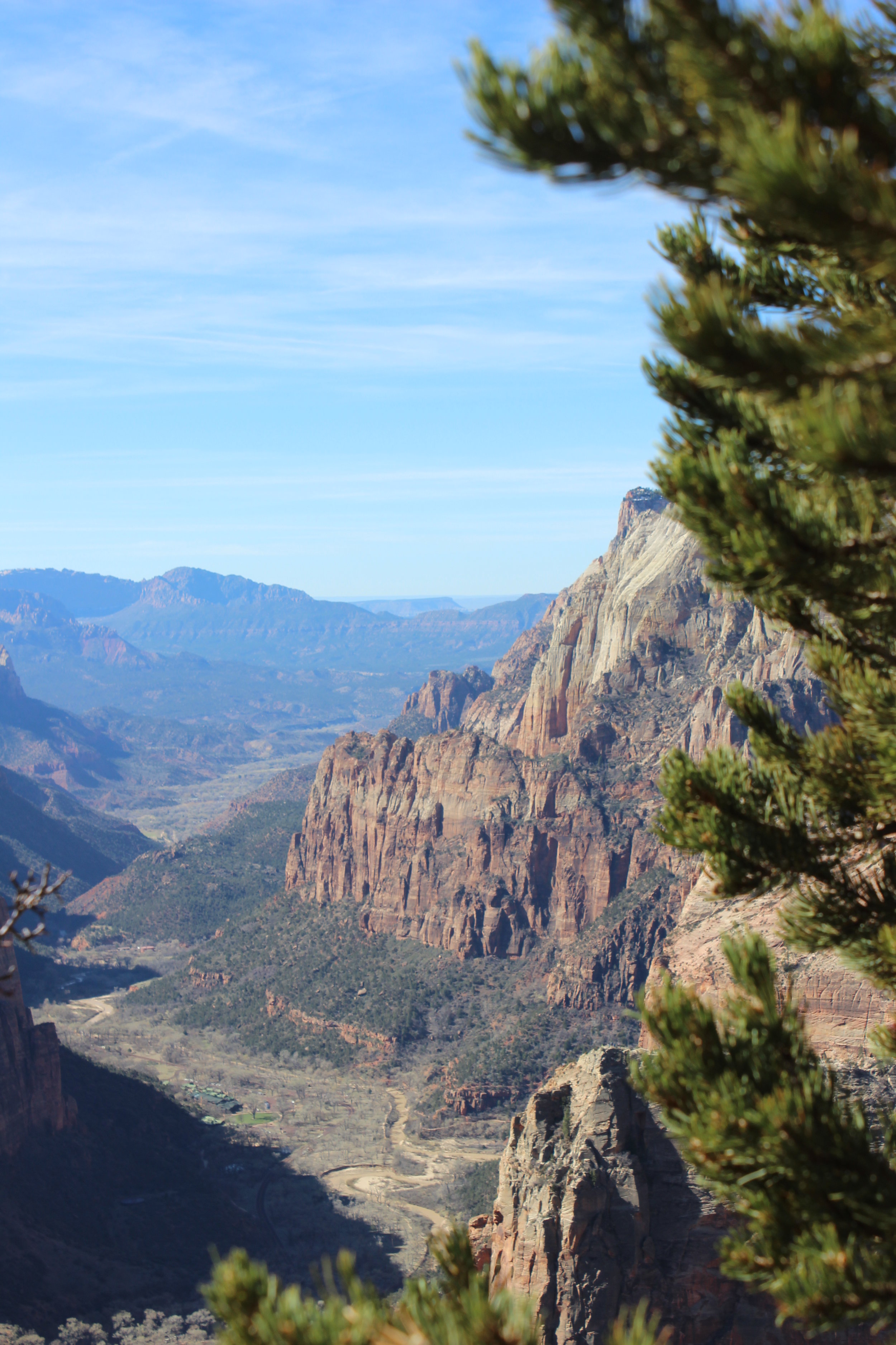 Views from Observation Point
