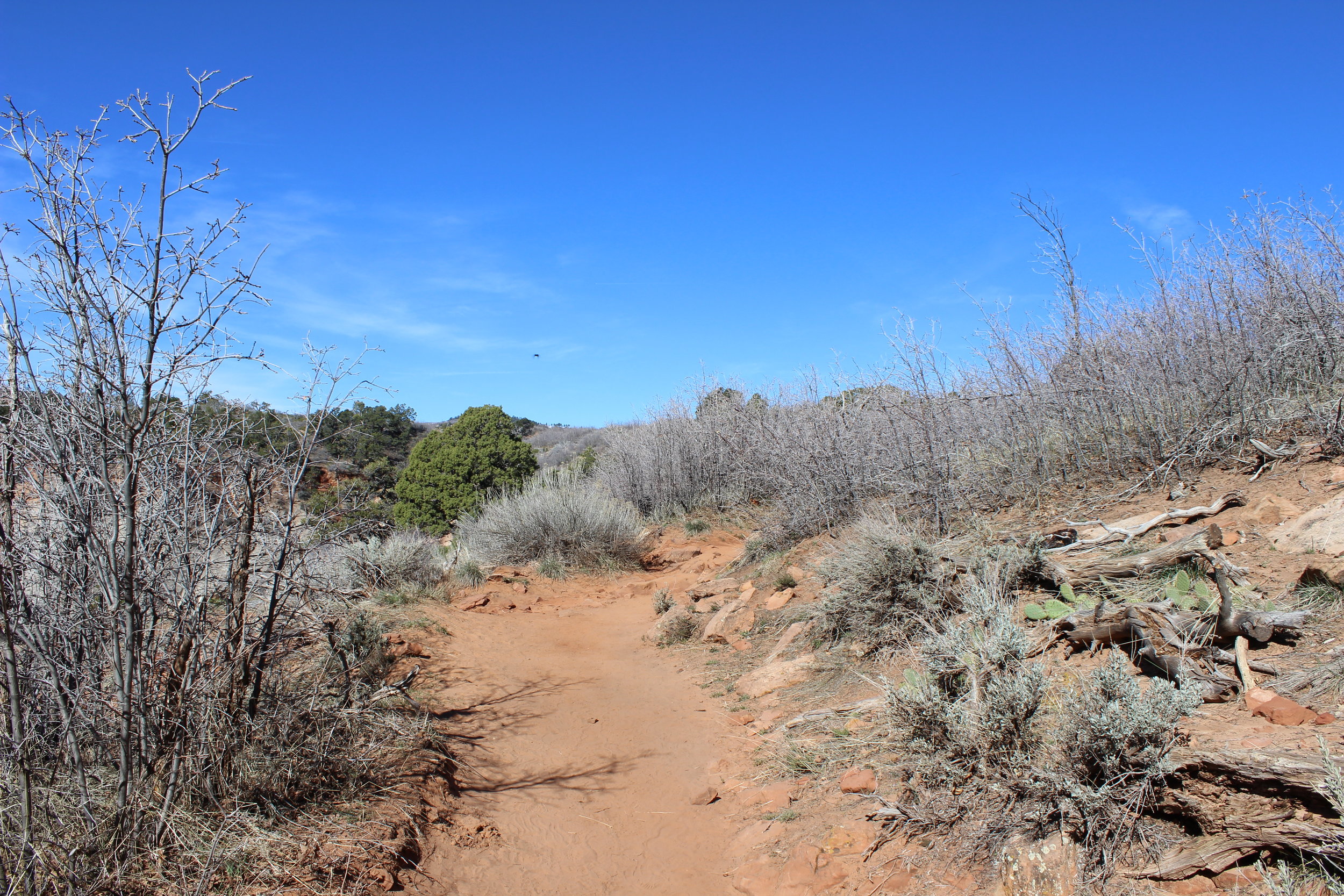 Leave Echo Canyon and you'll find a desert path leading to Observation Point