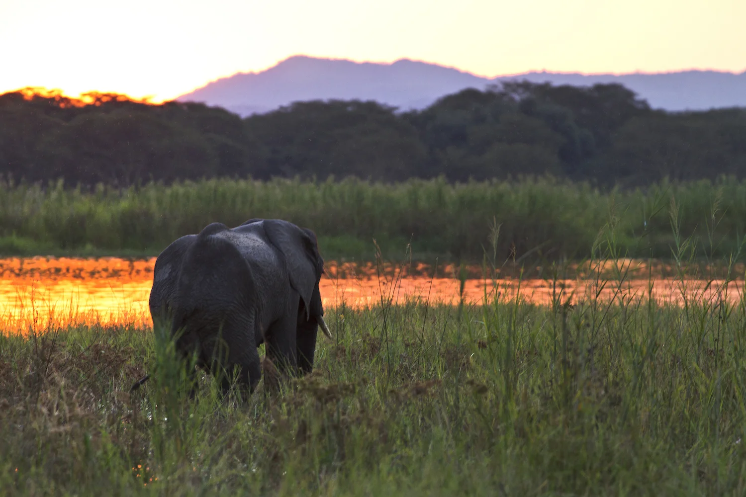 Photo by Responsible Safari Company, in partnership with We Are Travel Girls