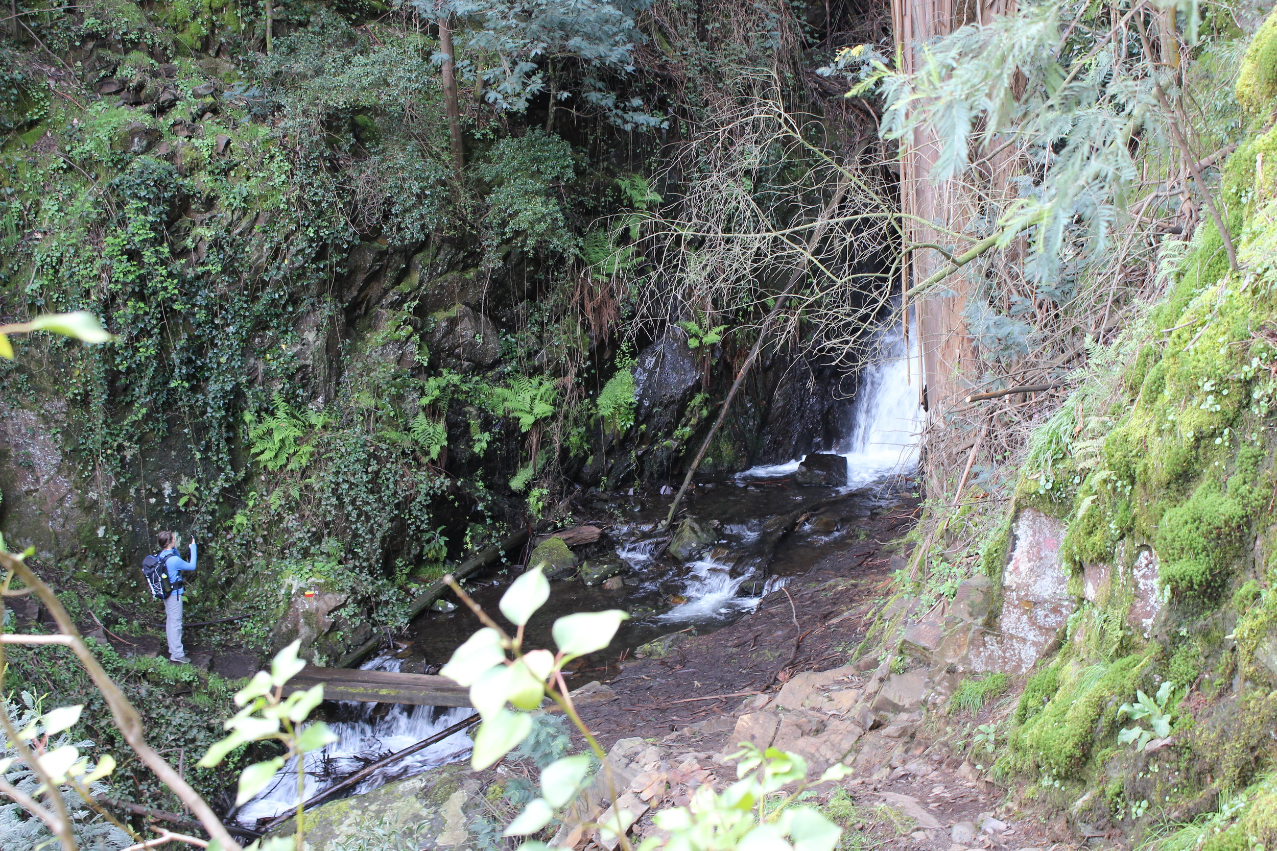 Waterfall along the hike