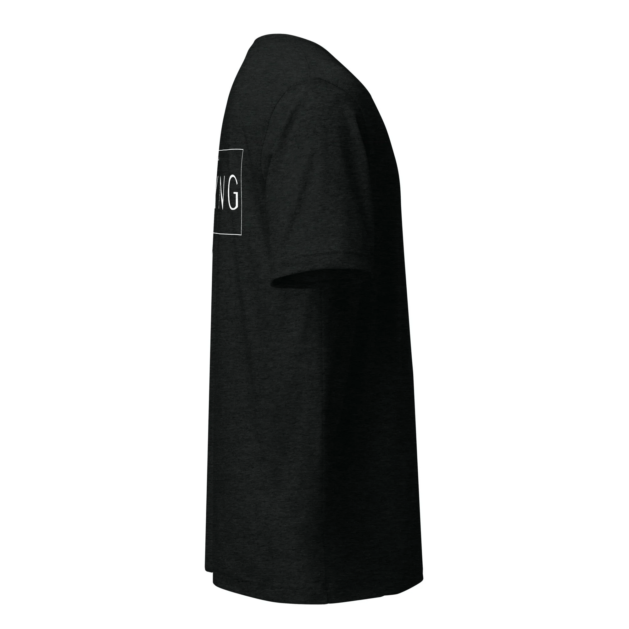unisex-tri-blend-t-shirt-solid-black-triblend-right-6a014b0799e06.jpg