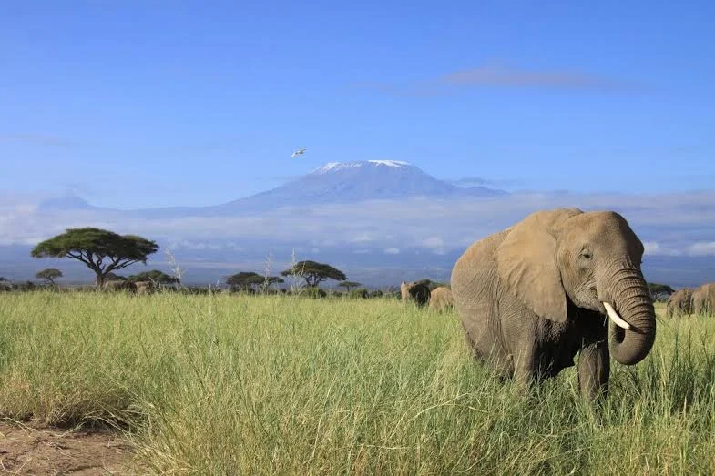 Kilimanjaro: Trek for our Teachers