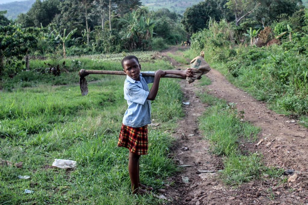 Chores begin after school when Goretti herds her uncle's cows and goats to be closer to home for the evening.