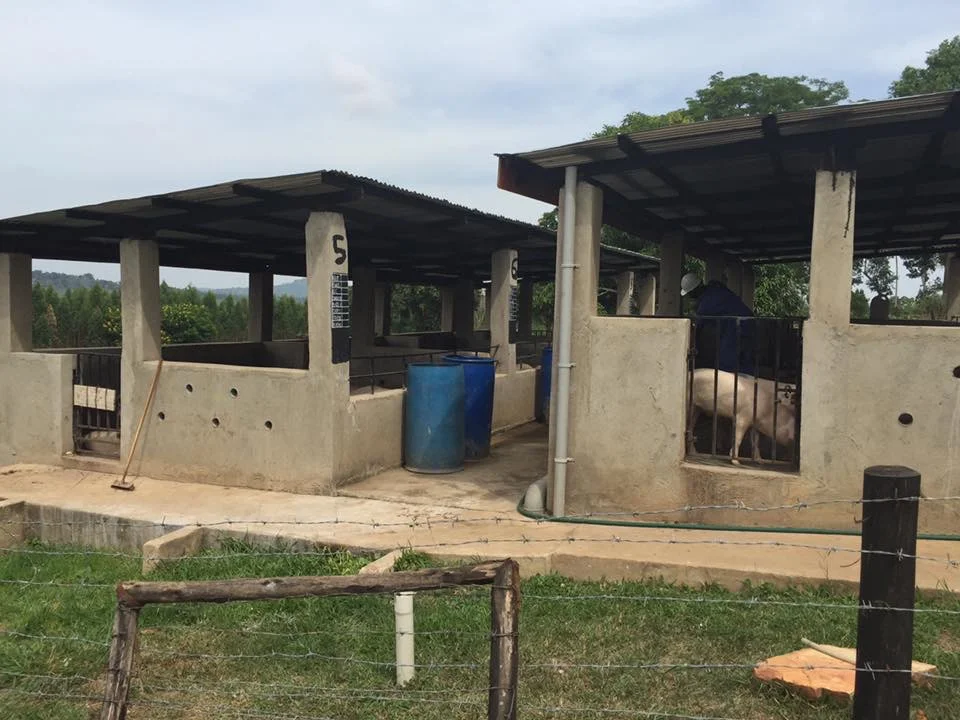 Built 20 bio-toilets and 3 combination stoves. Waste is recycled and used as fuel for the stoves where meals are made.