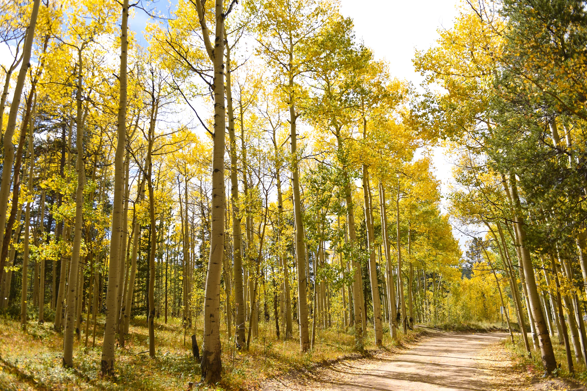 09092018_bruce_0084.jpg