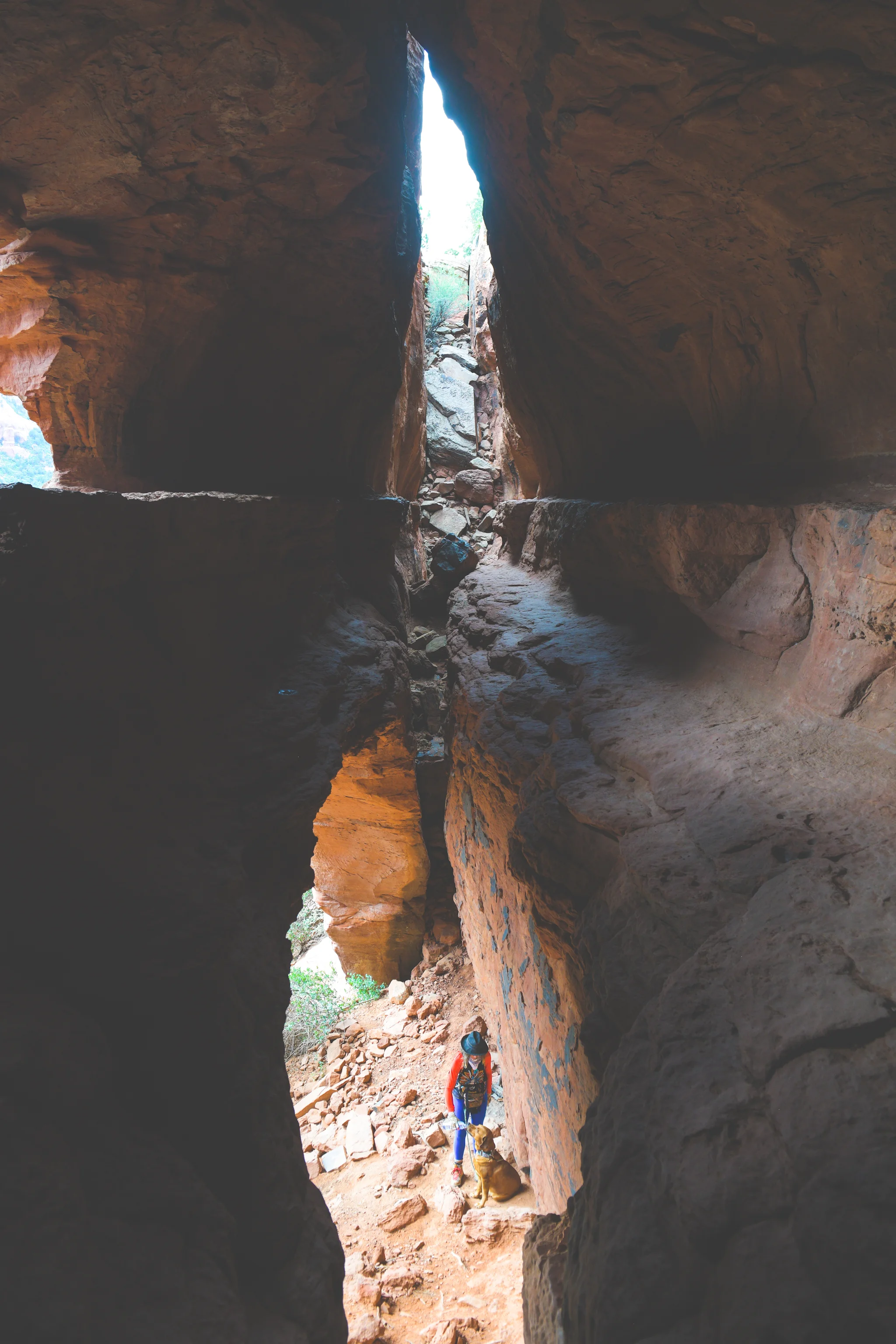 05102019_bruce_arizona_0297.jpg