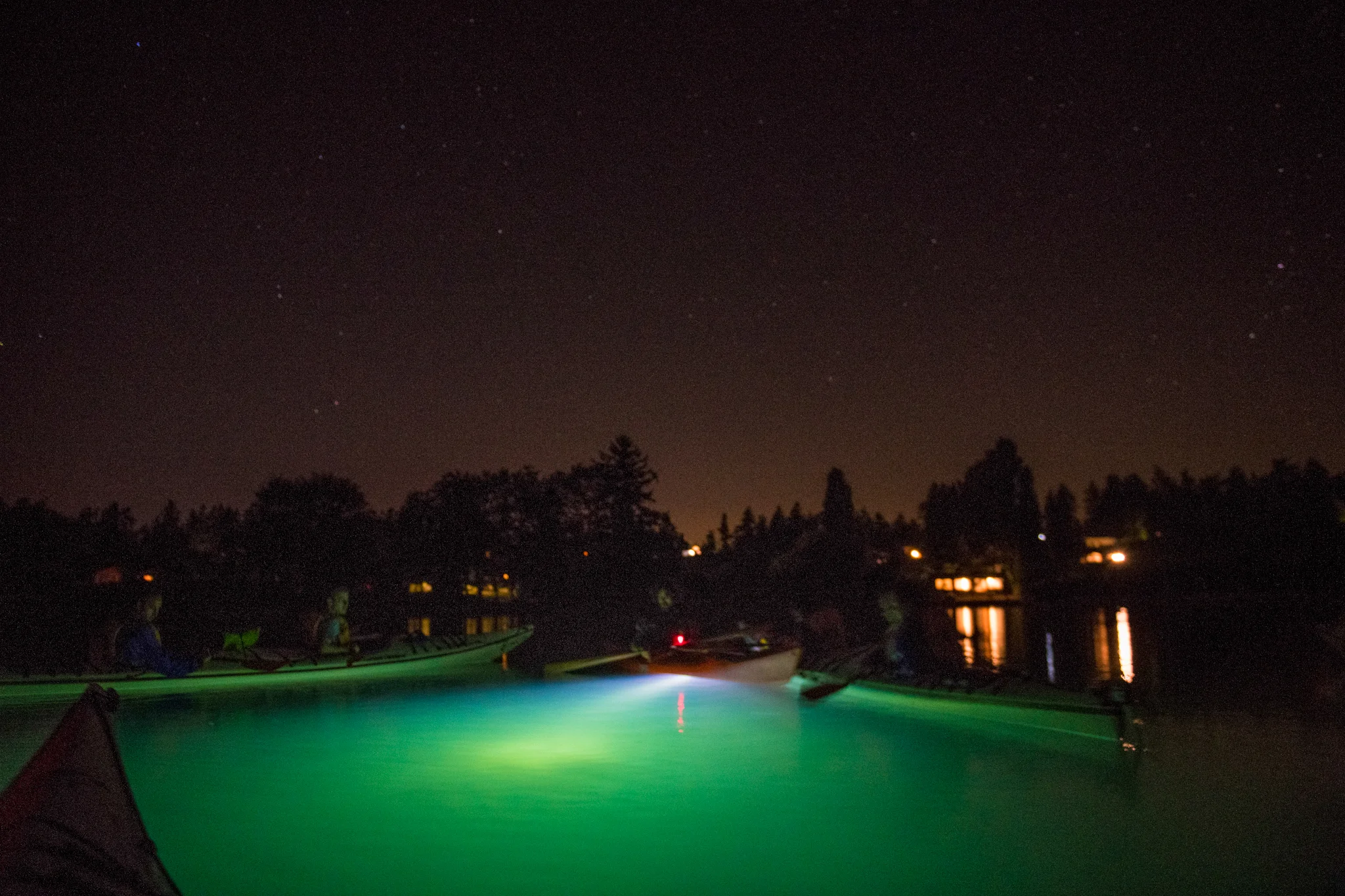 The bioluminescence kayaking tour