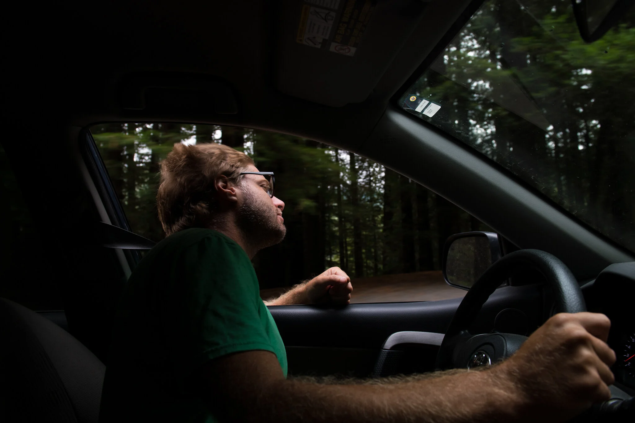 Taking in the old growth