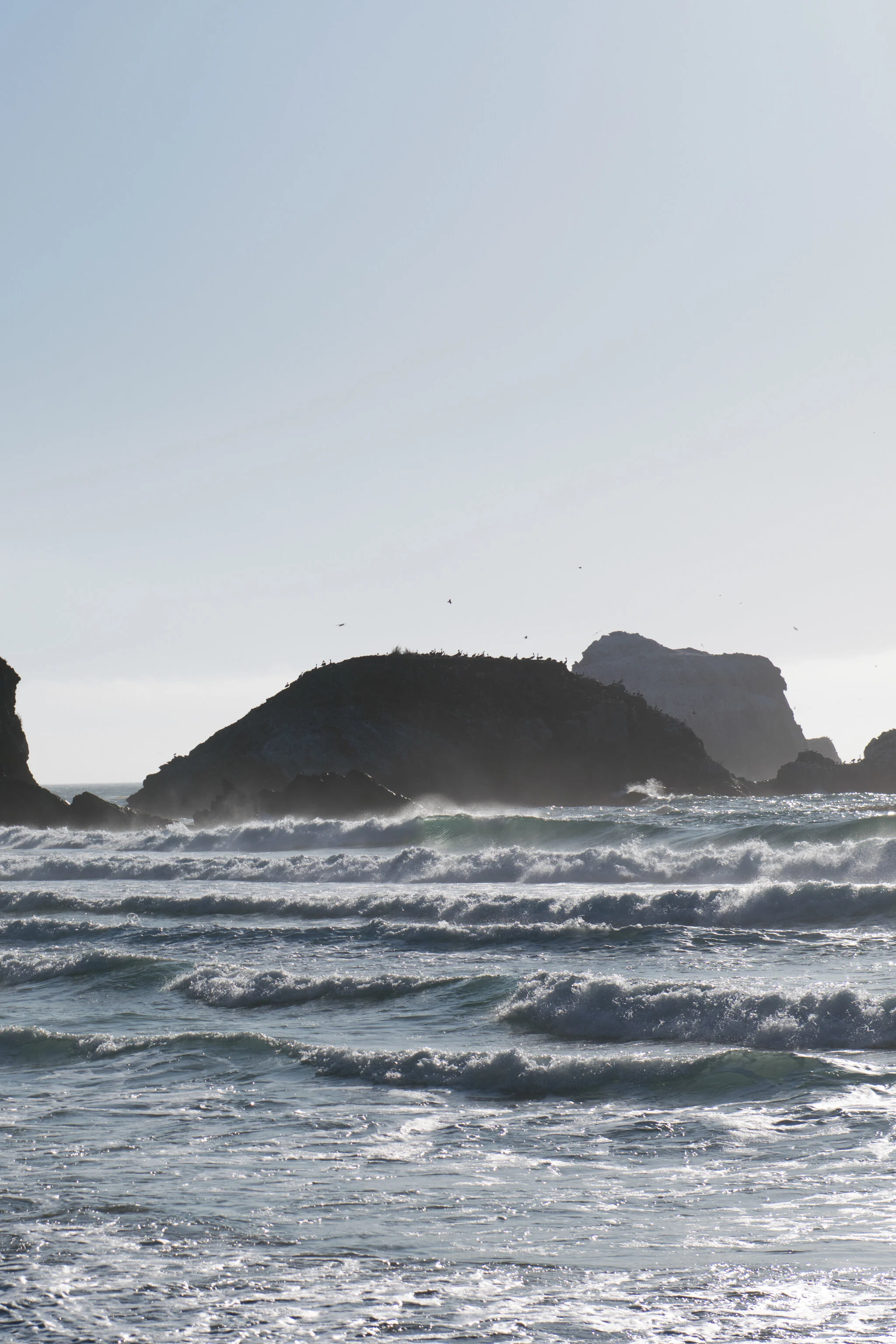 Sand Dollar Beach