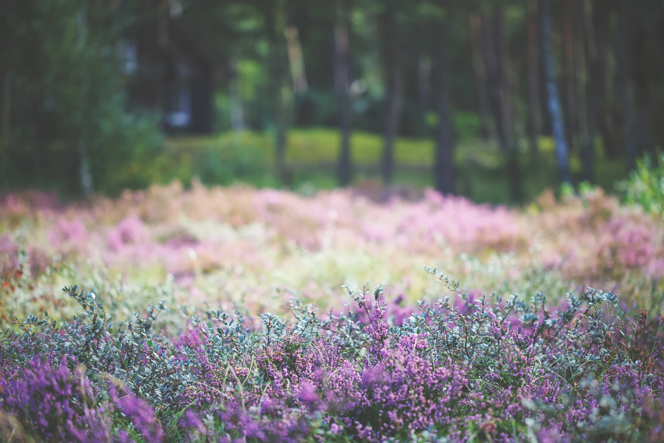 Photo by Rike_/iStock / Getty Images
