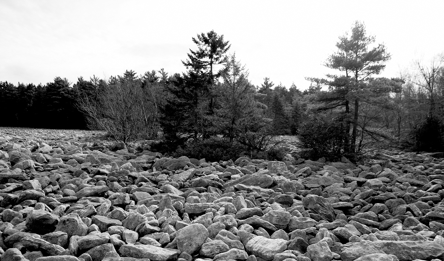 tiff-pemberton-rocks3.jpg
