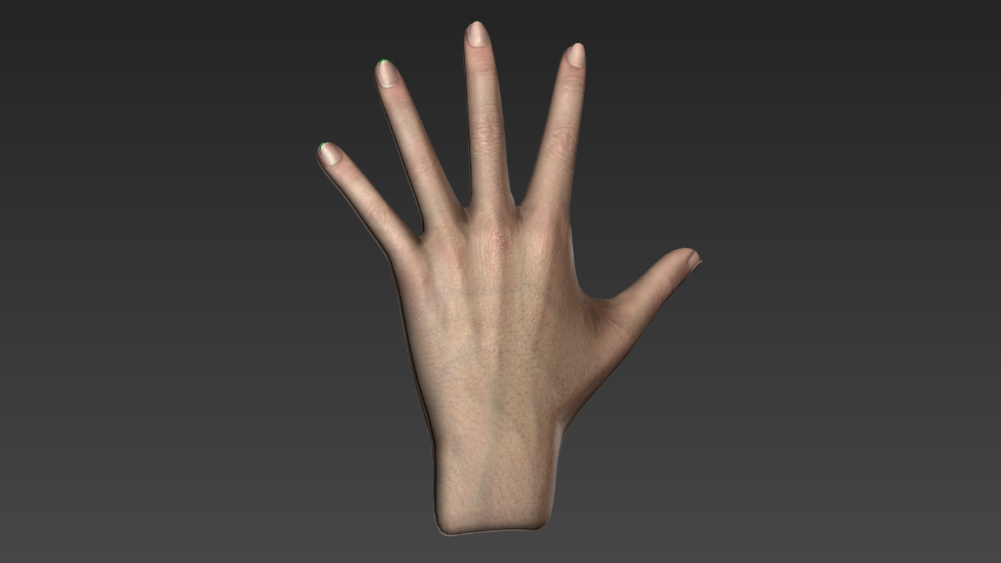Hand Model