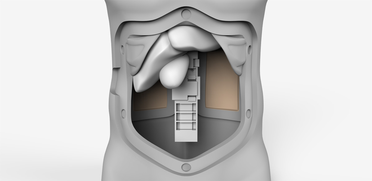 The internal organs inside the Abe are all real-sized abnormal organs, which will move to simulate the movement while breathing. The reason for only putting in abnormal organs is that a doctor shouldn't be able to feel anything while palpating if the patient is healthy (organs are normal).