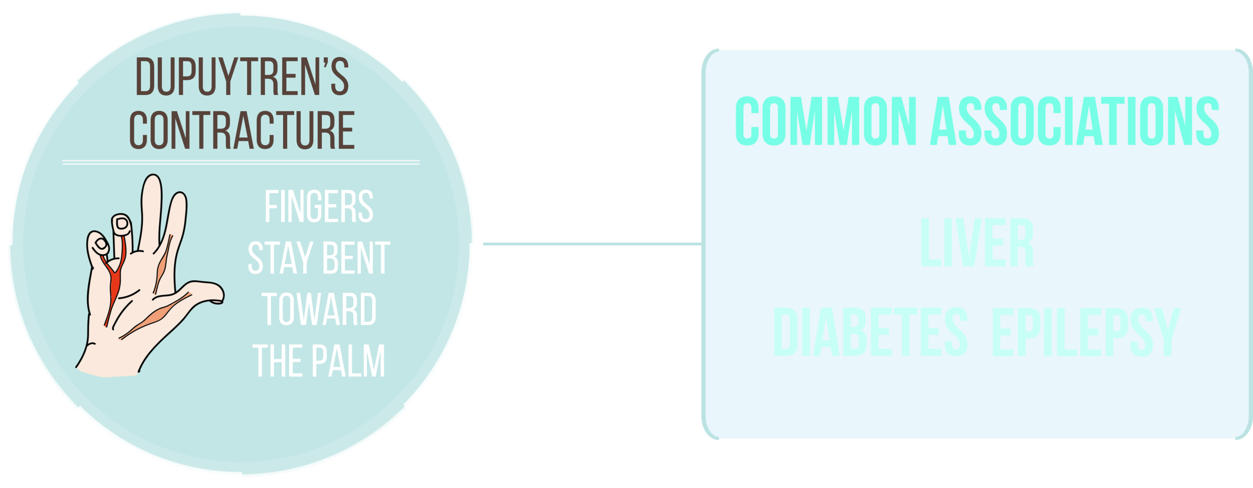 Symptoms_Dupuytren'sContracture.png