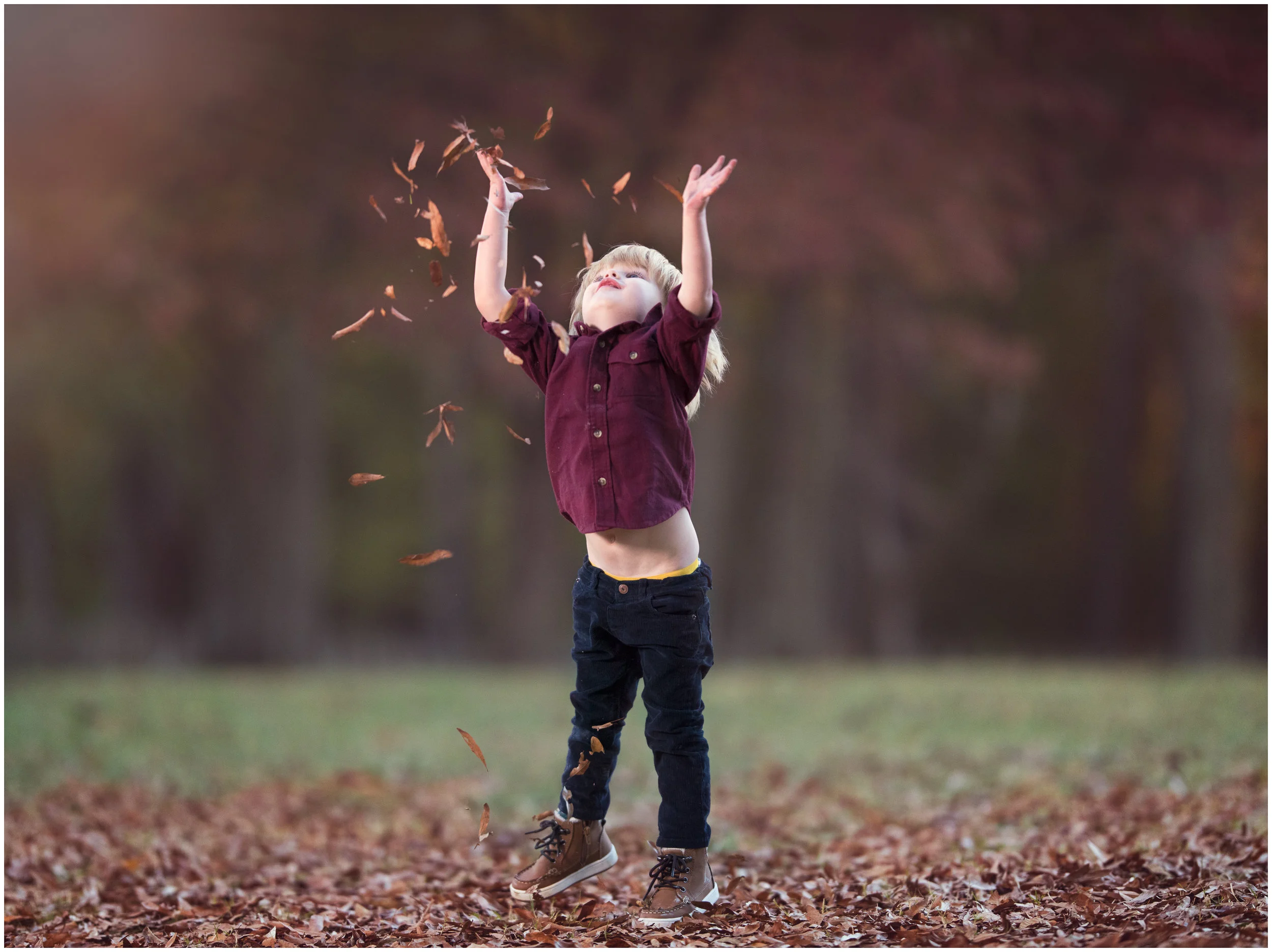 leaves 1.jpg