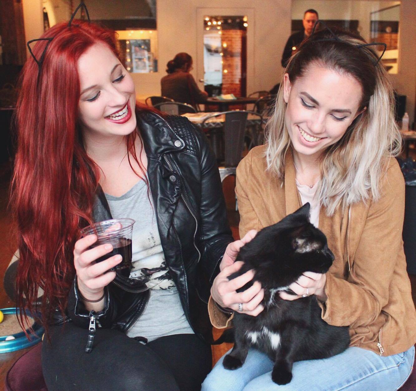 Private Events Pounce Cat Cafe Private Events Pounce Cat Cafe