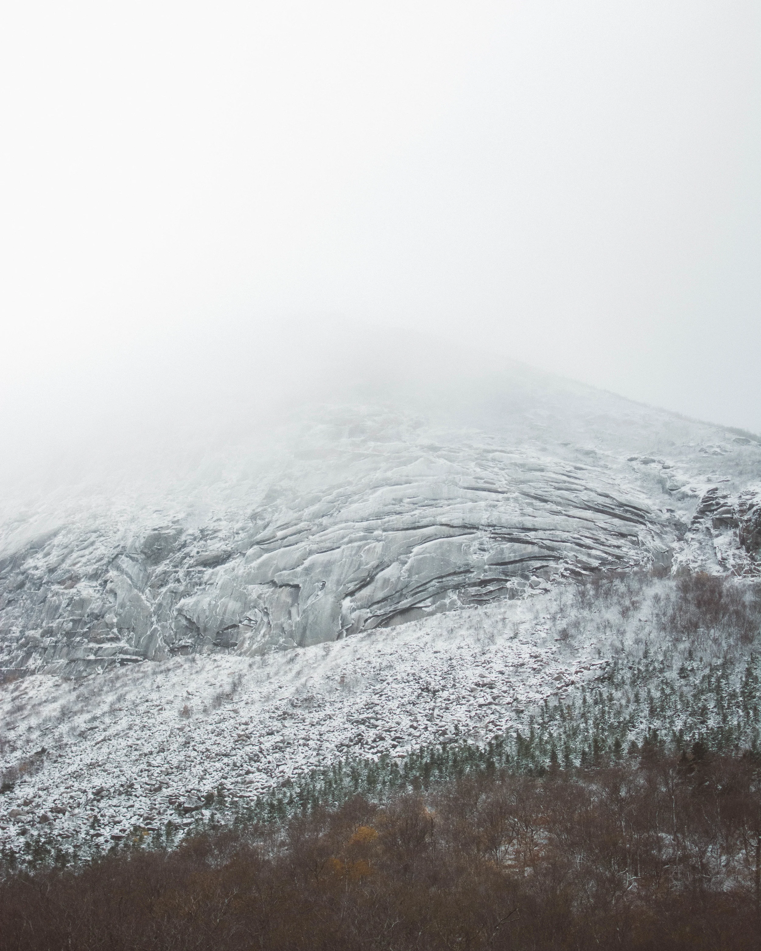 DSC_0579.jpg