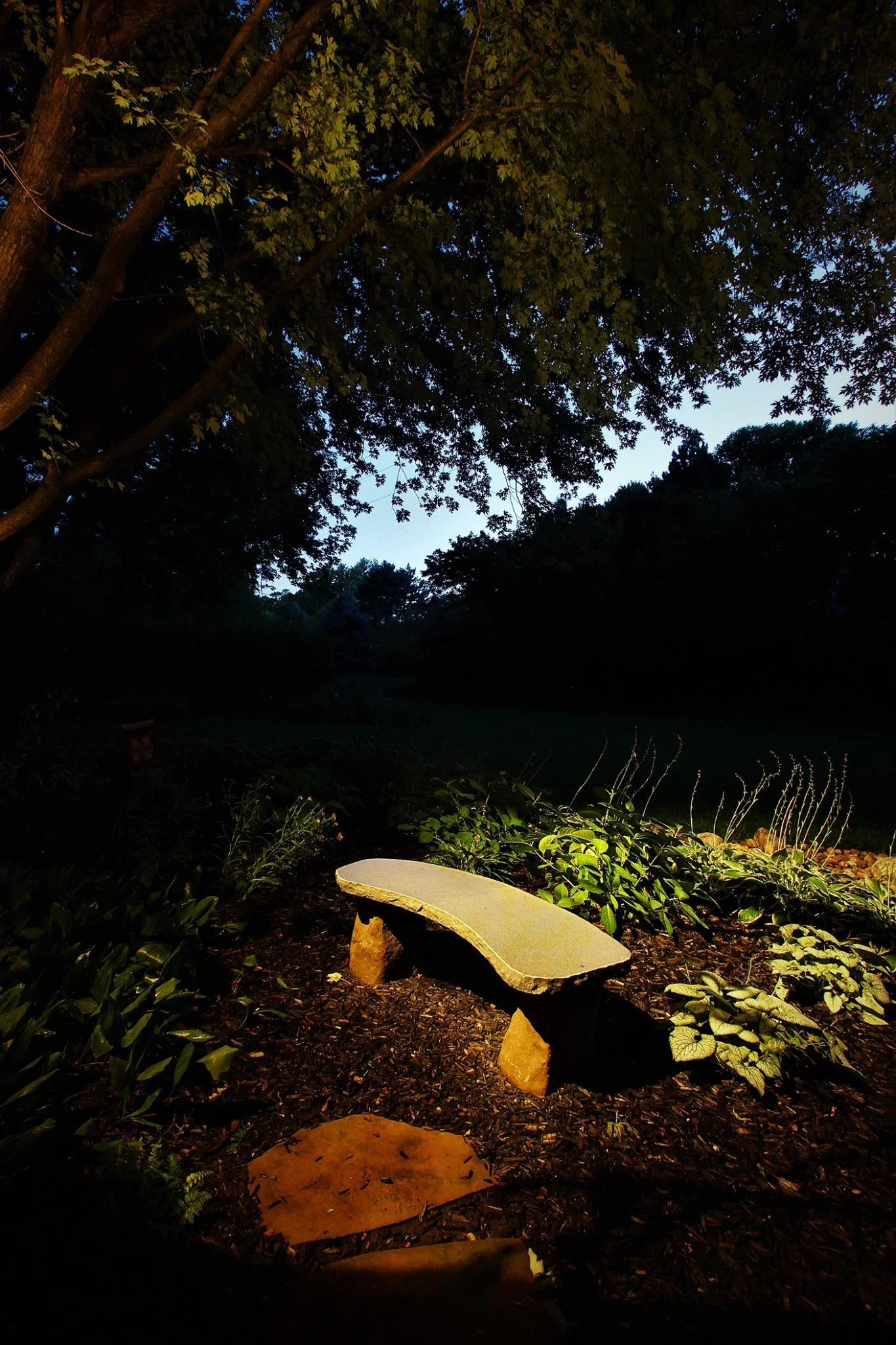 Landscape Lighting Elkhorn