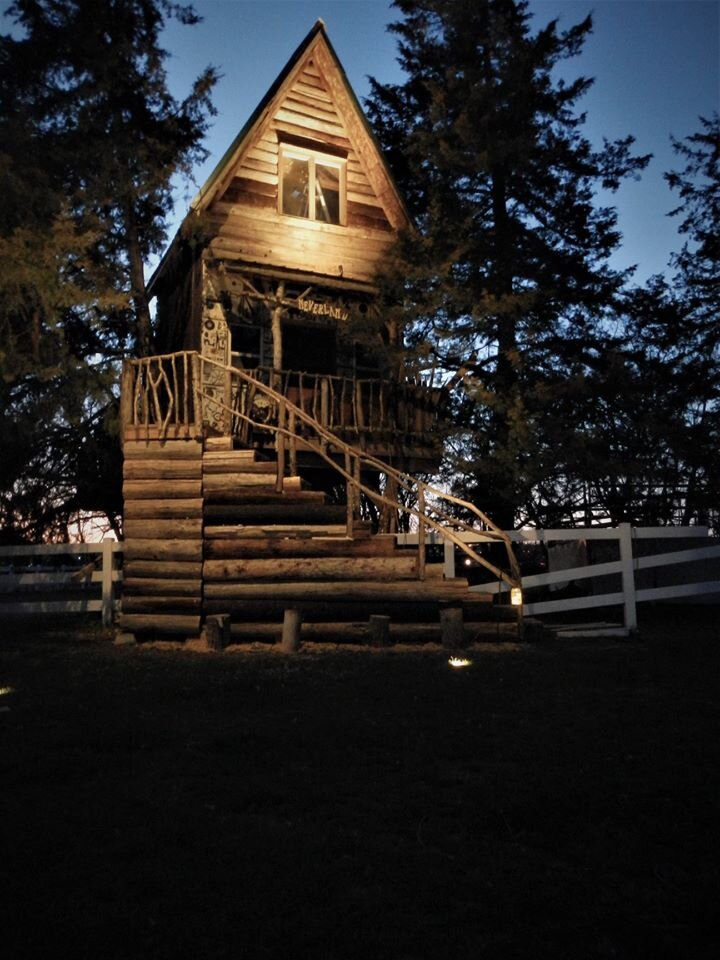 Stunning Tree House Lighting Project
