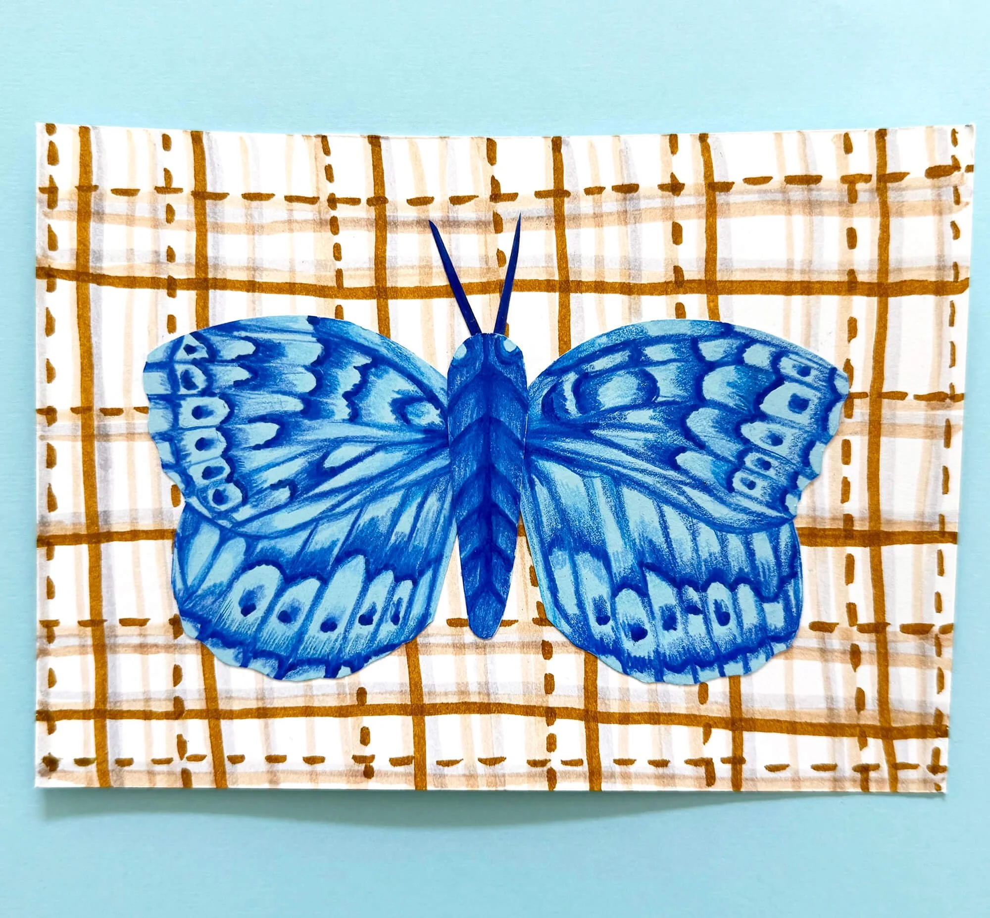 A blue monochromatic moth hand drawn with color pencil on a yellow ocher and white plaid background.