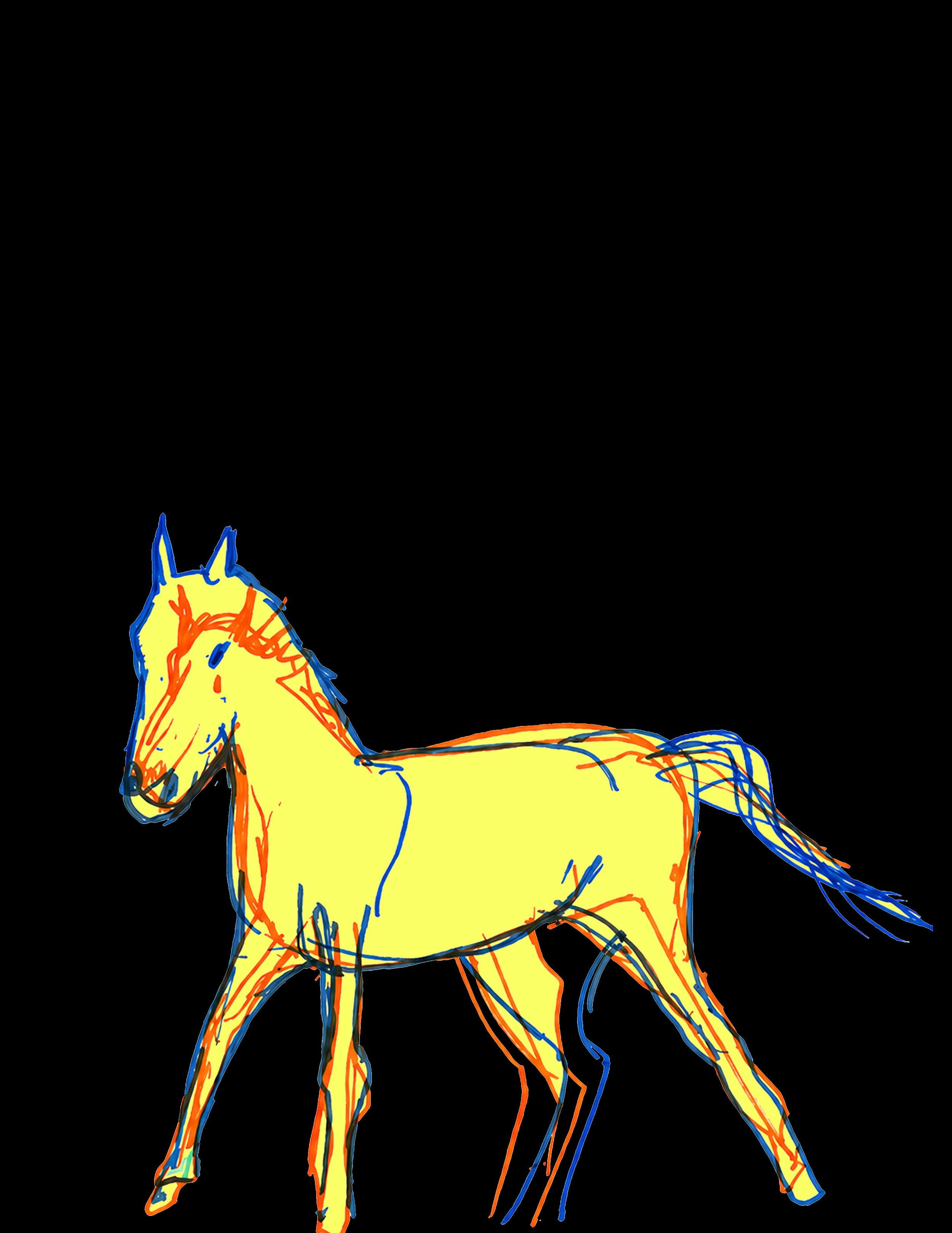 15. Pony.jpg