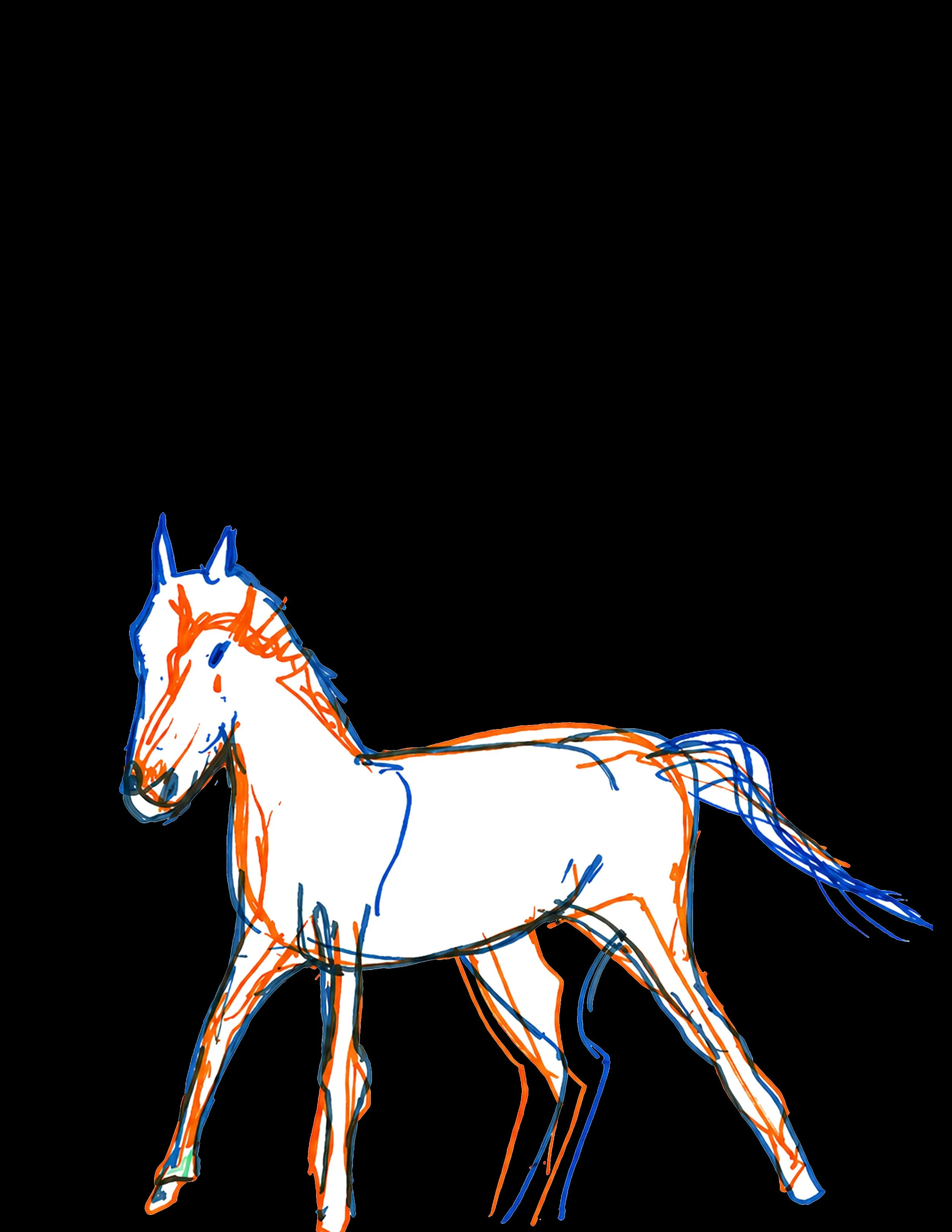 34. White Horse.jpg