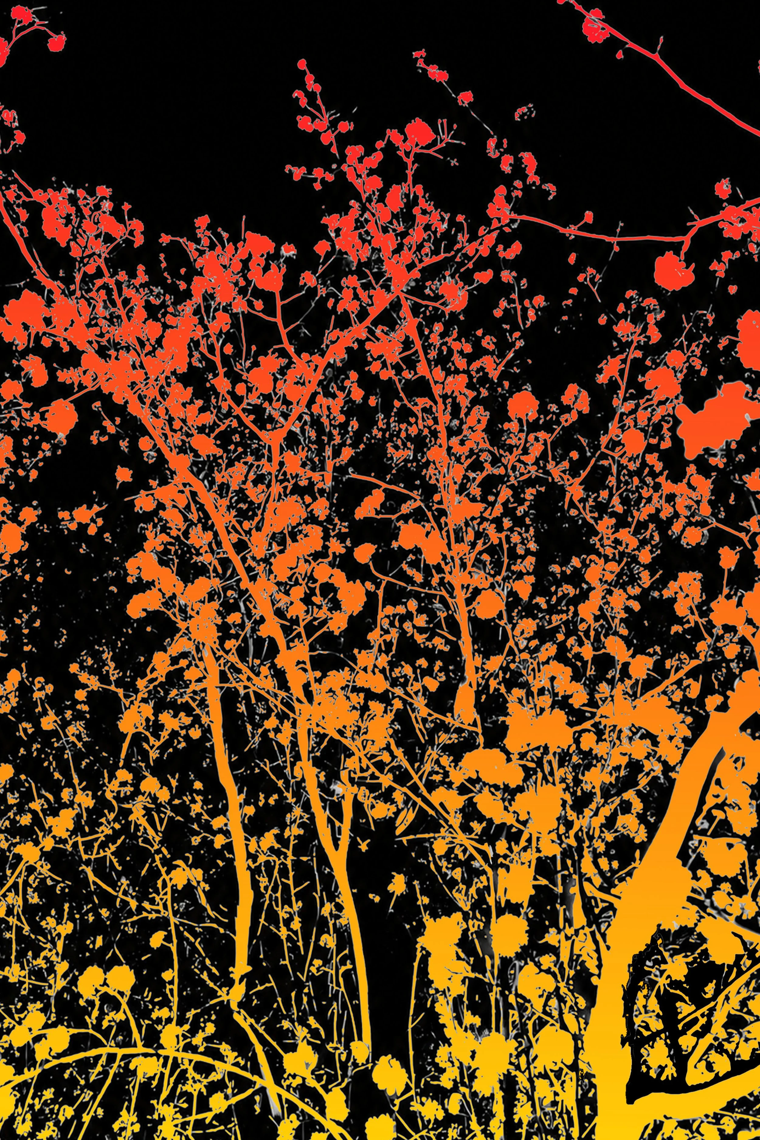 Radiant tree