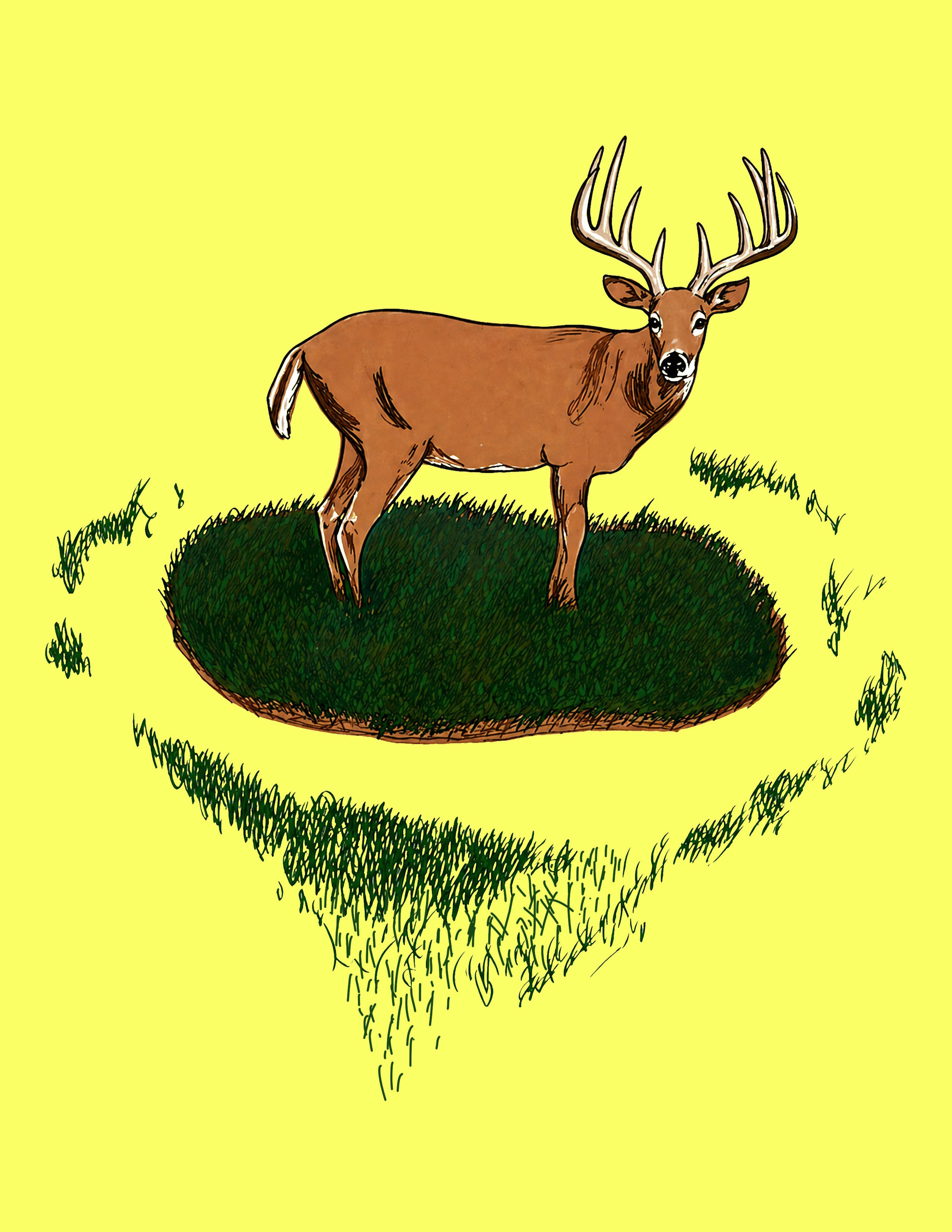 17. Deer.jpg