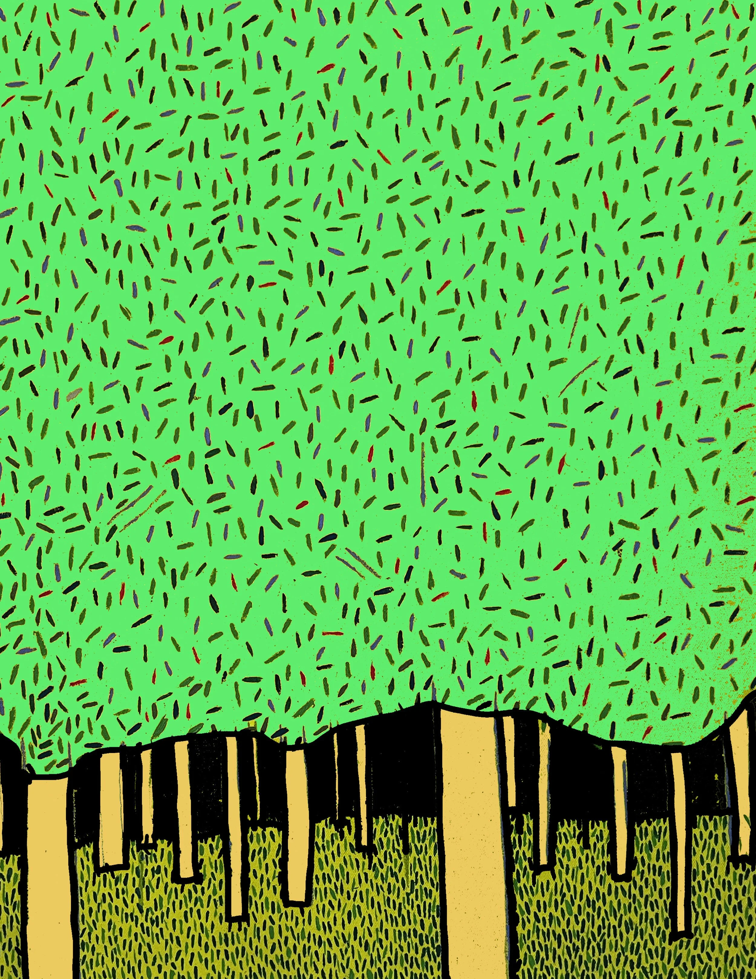 13. Endless canopy.jpg