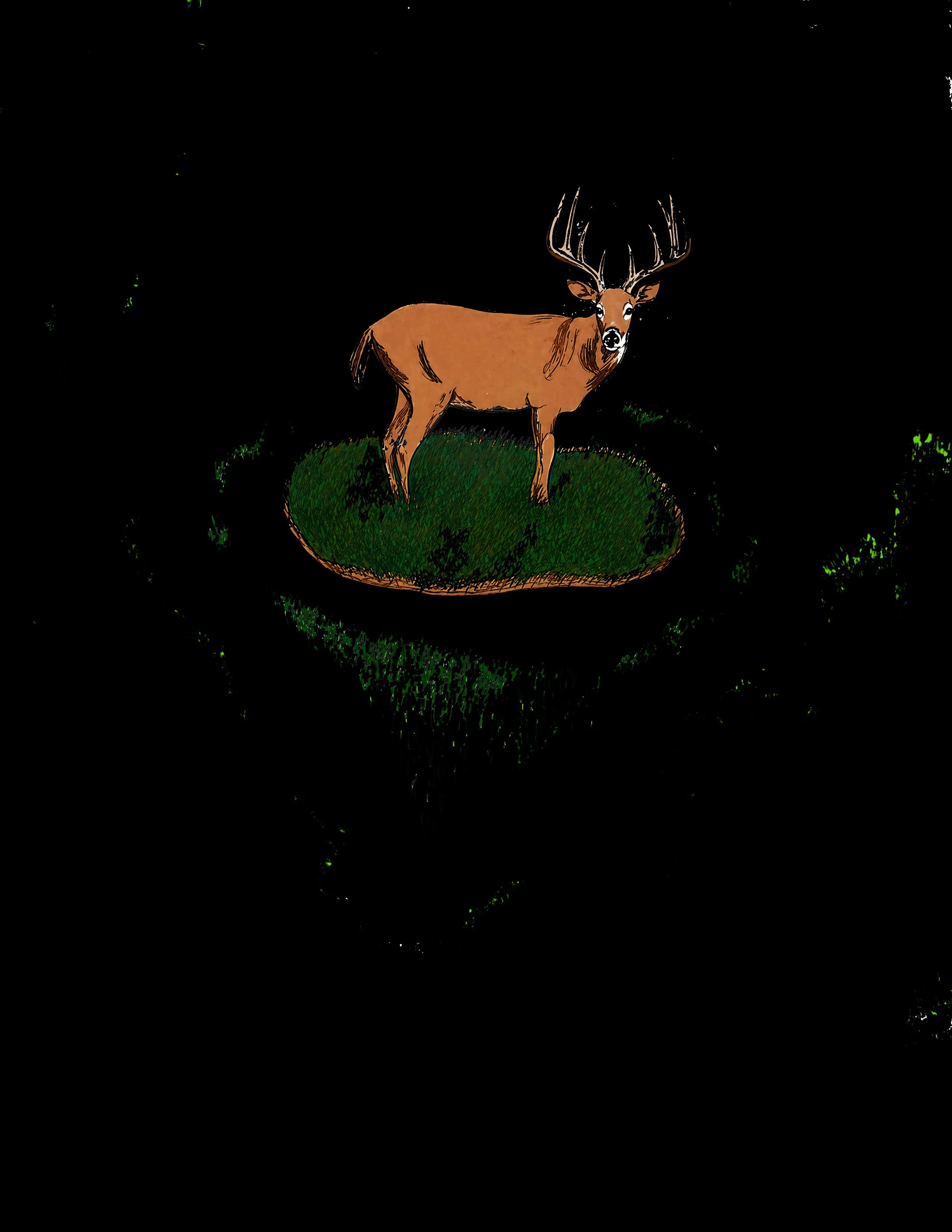21. Deer.jpg