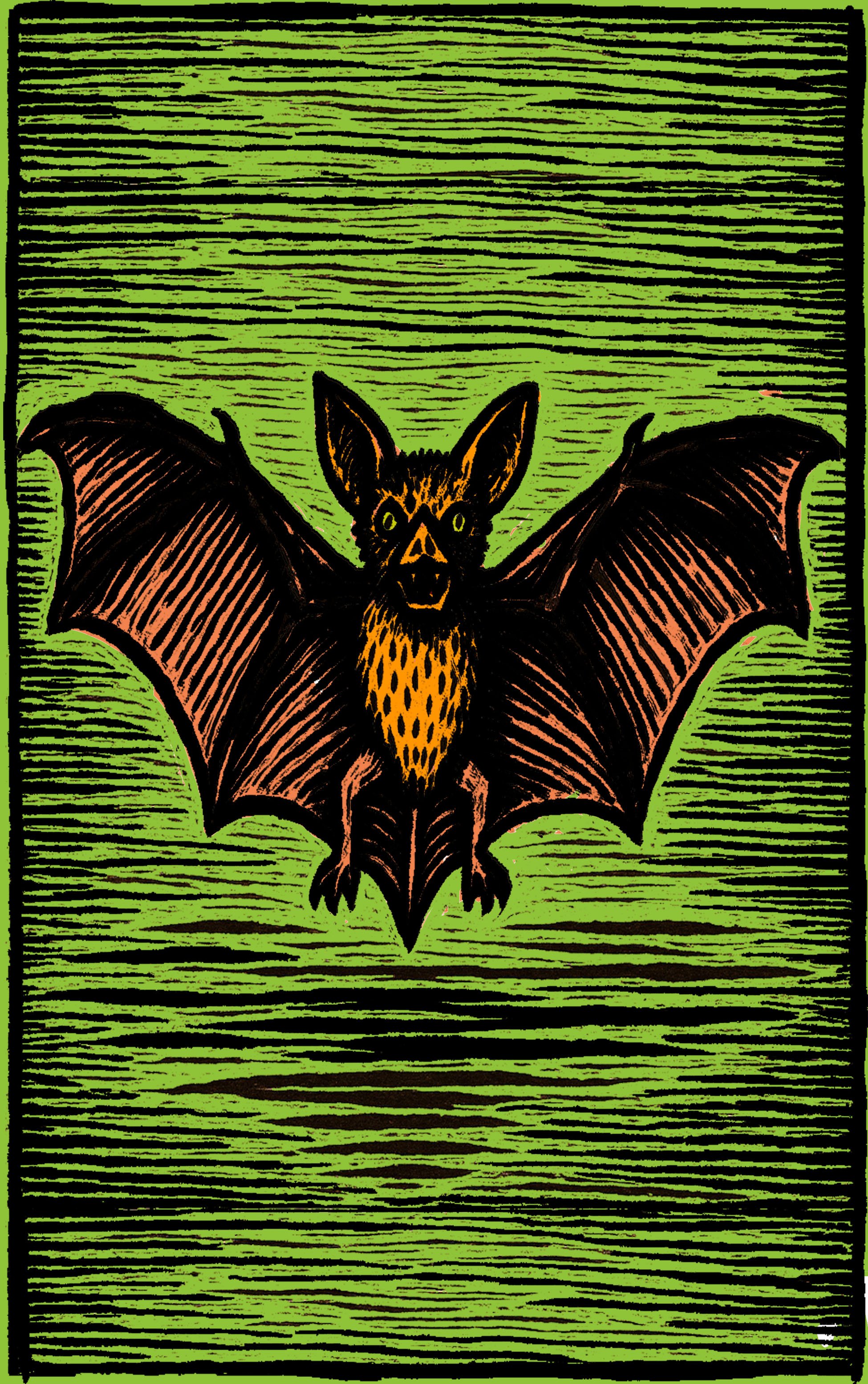 19. Bat.jpg