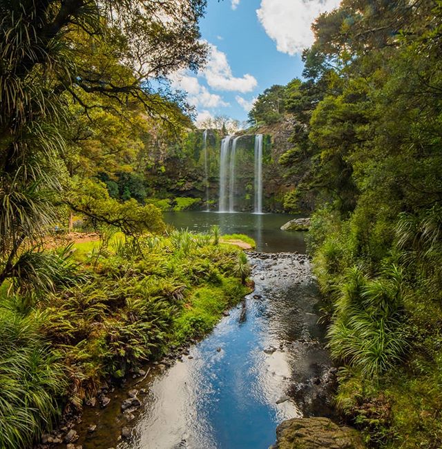 Flying visit to Whangarei on the way through to dive the Poor Knights. The falls are looking as gorgeous as ever

#whangareifalls #nzmustdo #autumn #longexposure_new_zealand #longexposure #nikond750