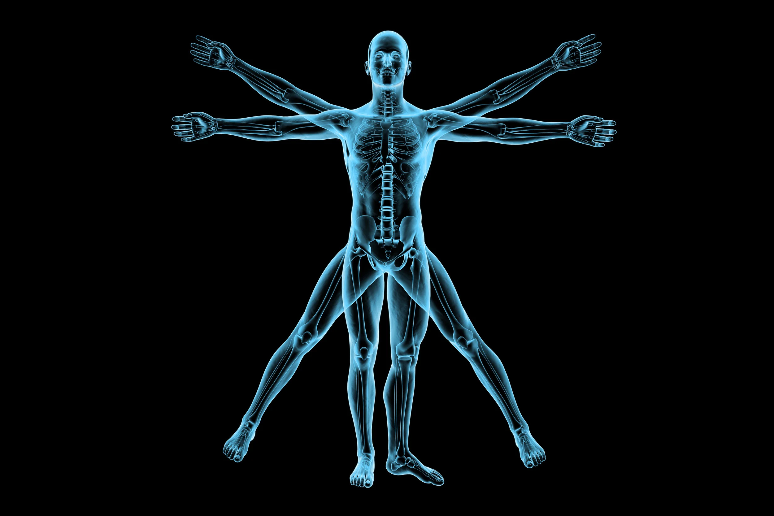 VITRUVIAN.jpg
