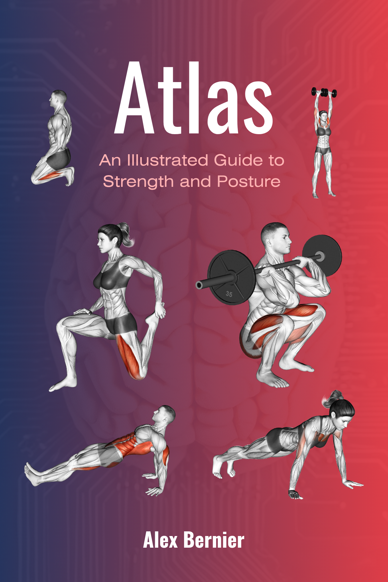Cover (6).png