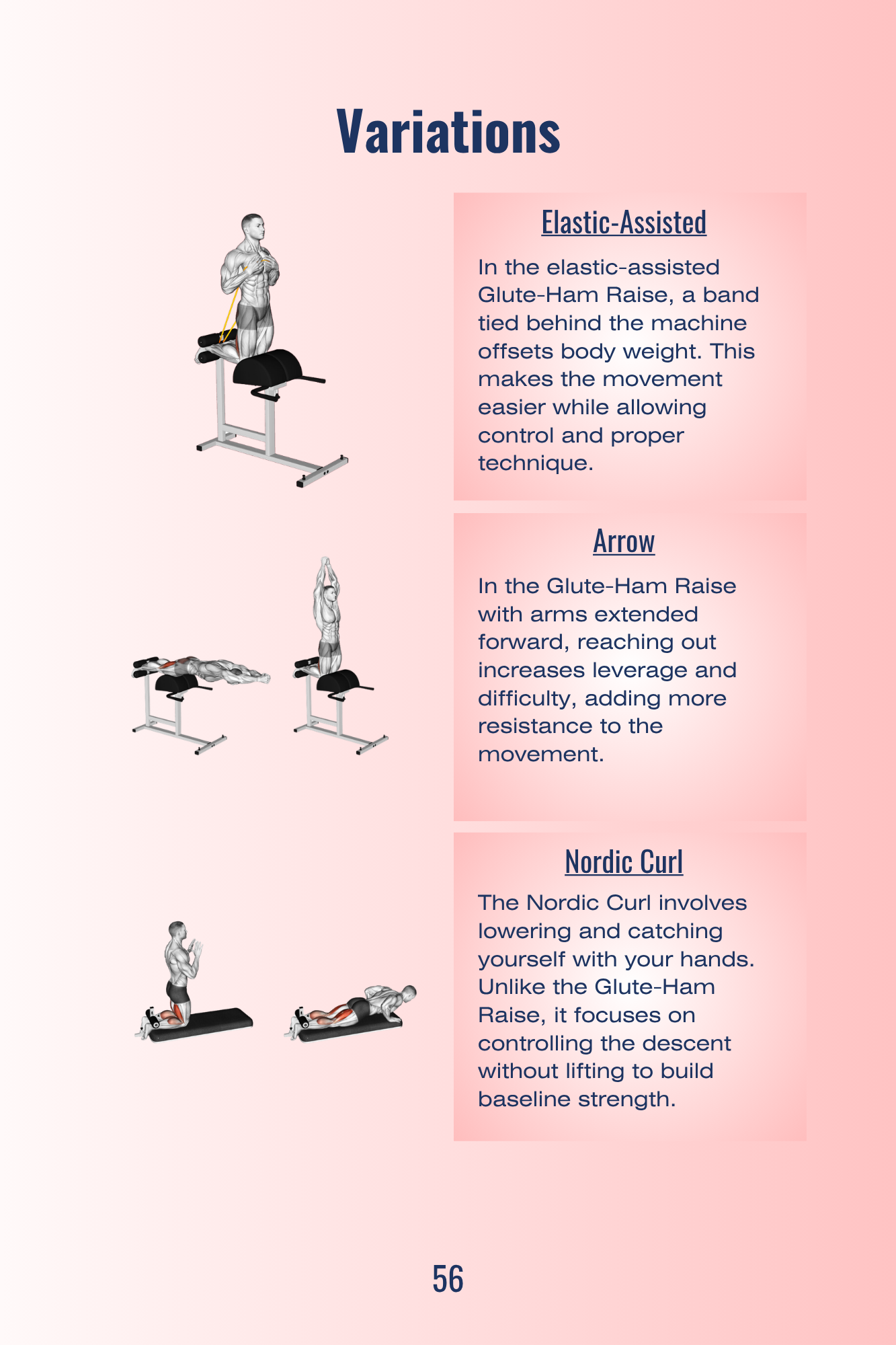 Glute-Ham Raise Variations 1.png