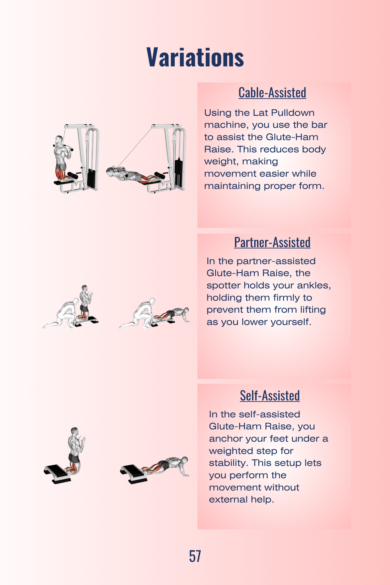 Glute-Ham Raise Variations 2.png